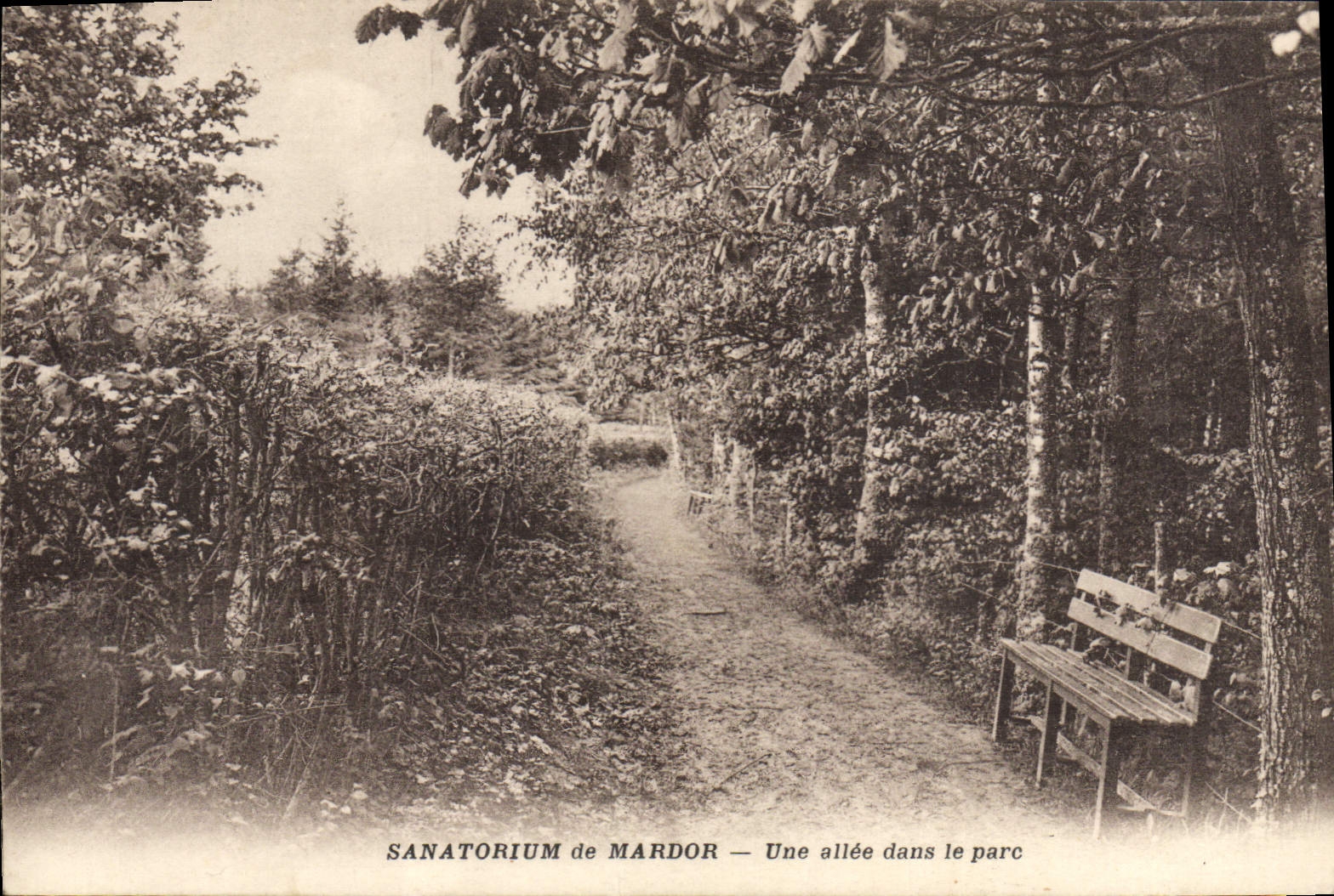 CPA Sanatorium de Mardor Une allee du parc 