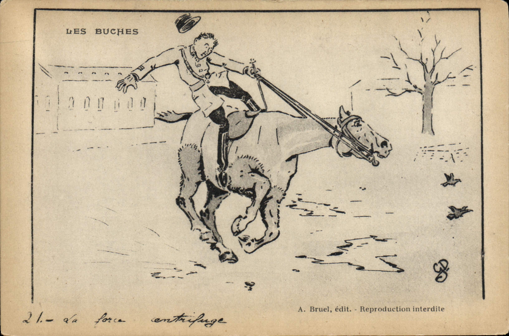 CPA Cheval Equitation Hippisme Les buches