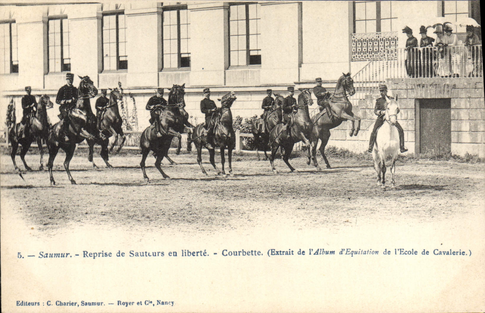 Equitación Hippisme Saumur del caballo de la POSTAL de la VENDIMIA tomado otra vez de puentes en la libertad de Courbette