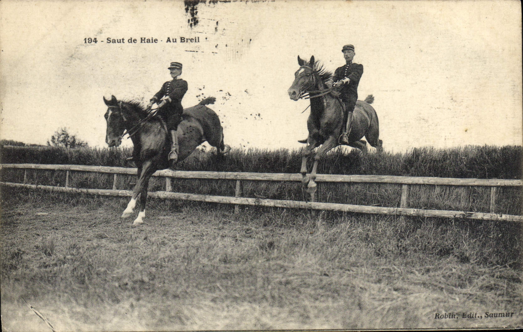 Equitación Hippisme del caballo de la POSTAL de la VENDIMIA que valla en Breil