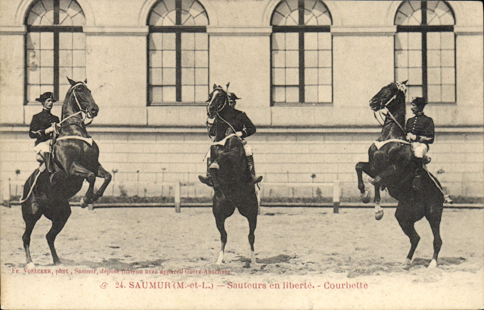 CPA Cheval Equitation Hippisme Saumur sauteurs en liberte