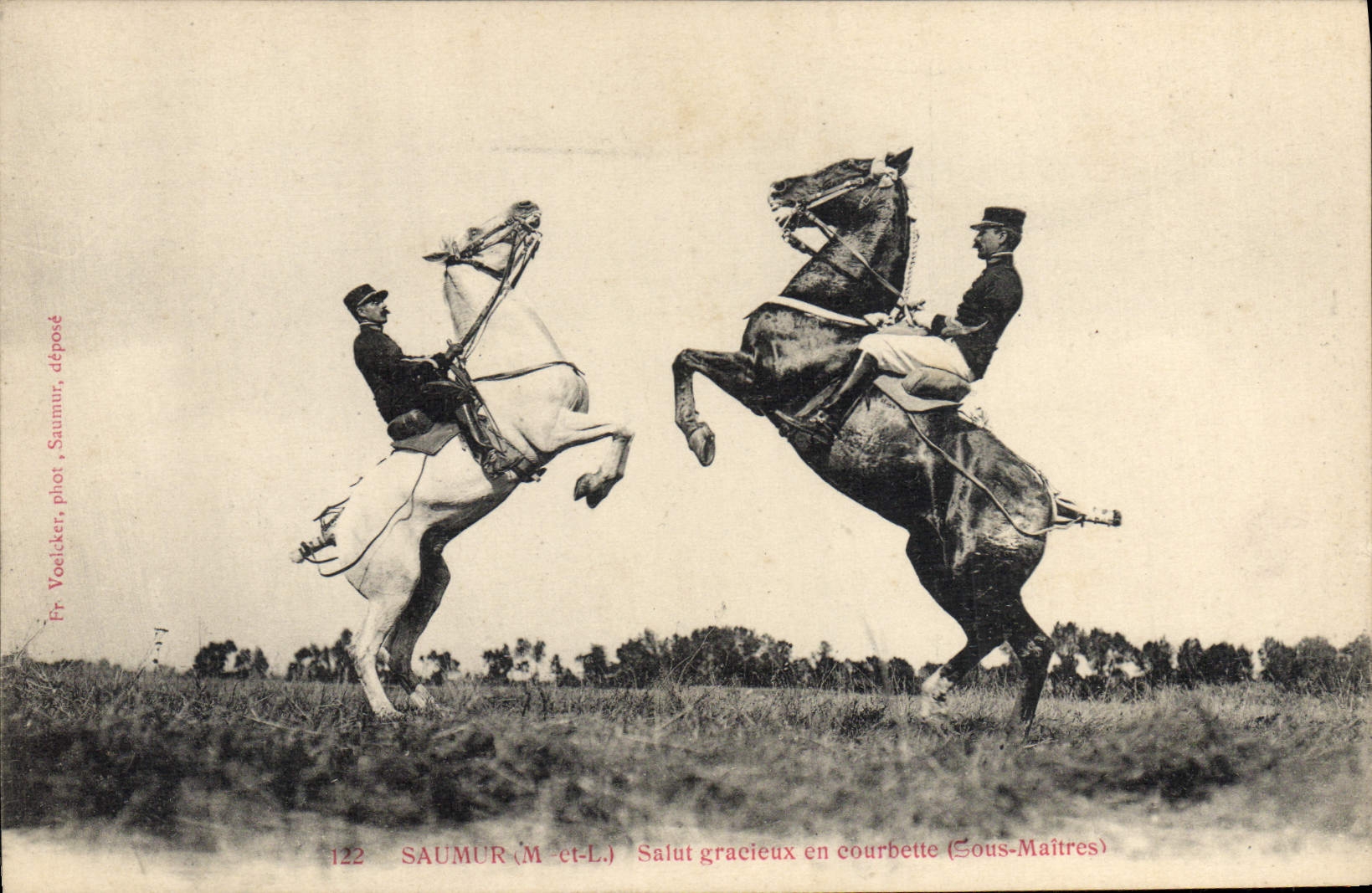 Hola gracioso de Hippisme Saumur de la equitación del caballo de la POSTAL de la VENDIMIA en courbette debajo de amos