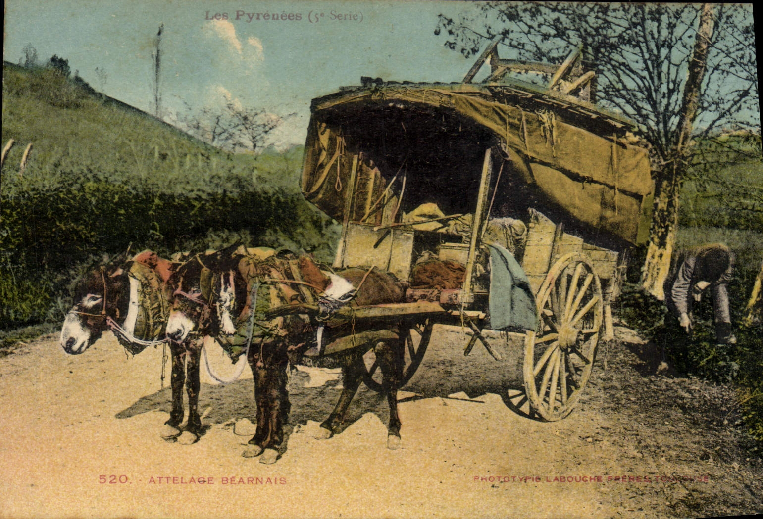 VINTAGE POSTCARD Folklore the Pyrenees Coach inhabitant of Béarn Ass Mule