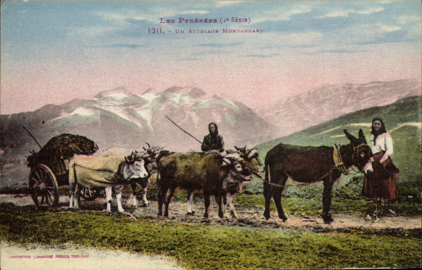 VINTAGE POSTCARD Pyrenees Folklore a mountain coach Beouf Ass Mule
