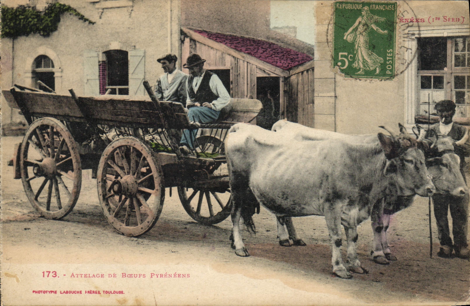 CPA Folklore Pyrenees Attelage de boeufs pyreneens