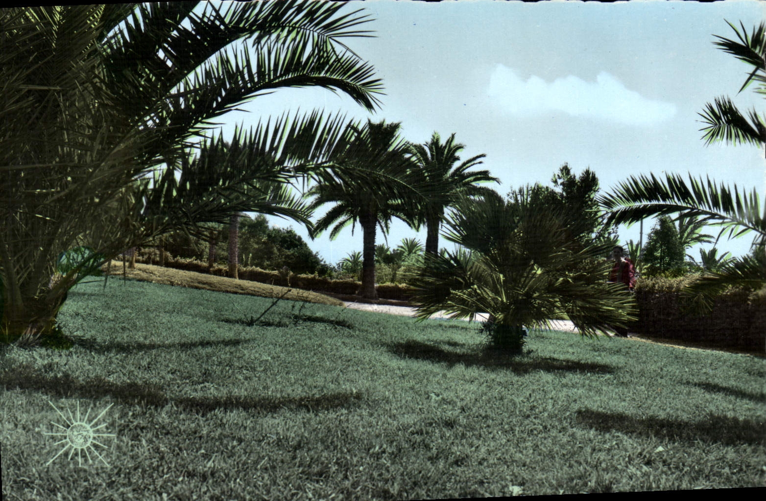 CPM Toulon Le Littoral Un Coin Du Jardin