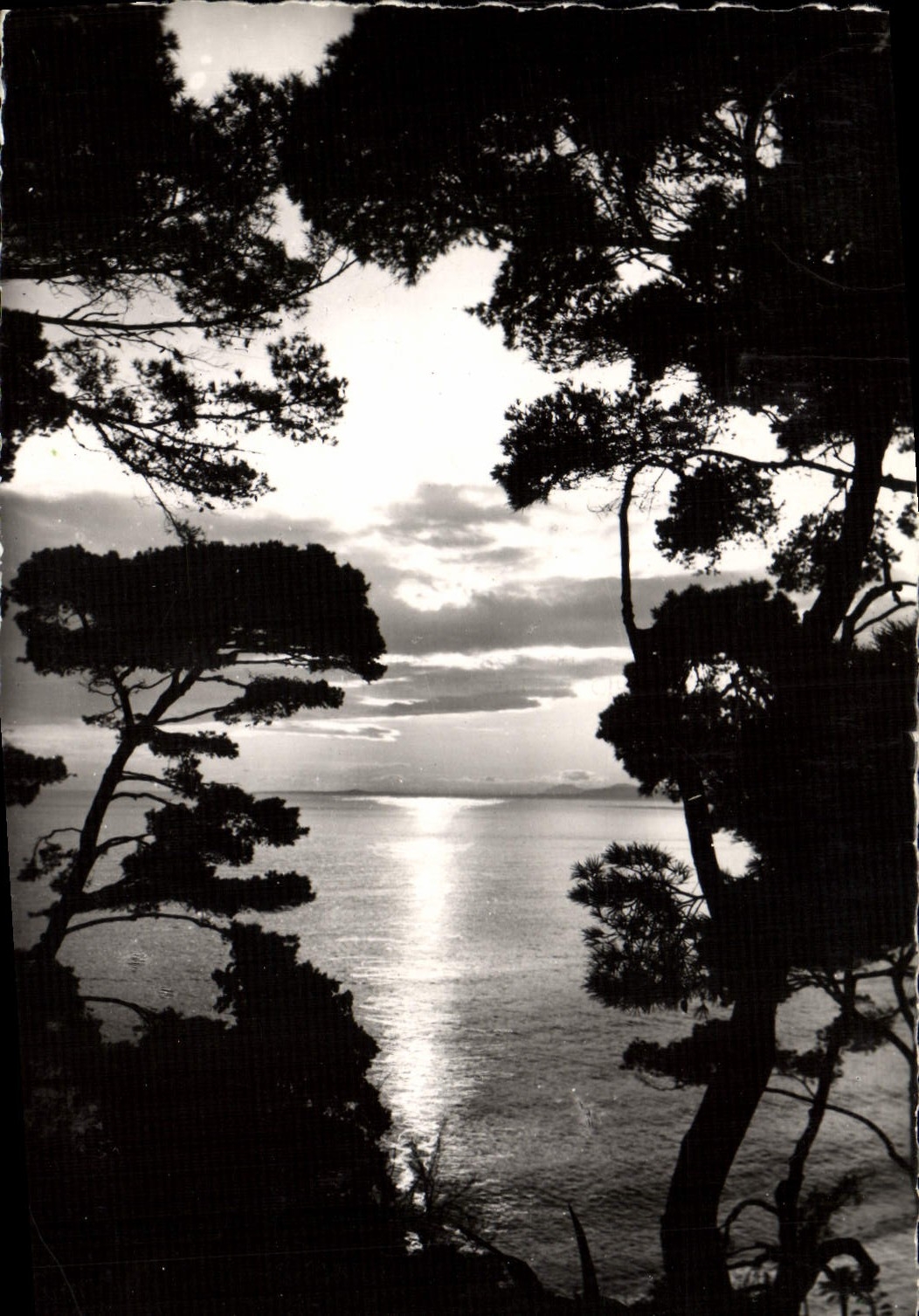 MODERN CARD the Mediterranean Against Day