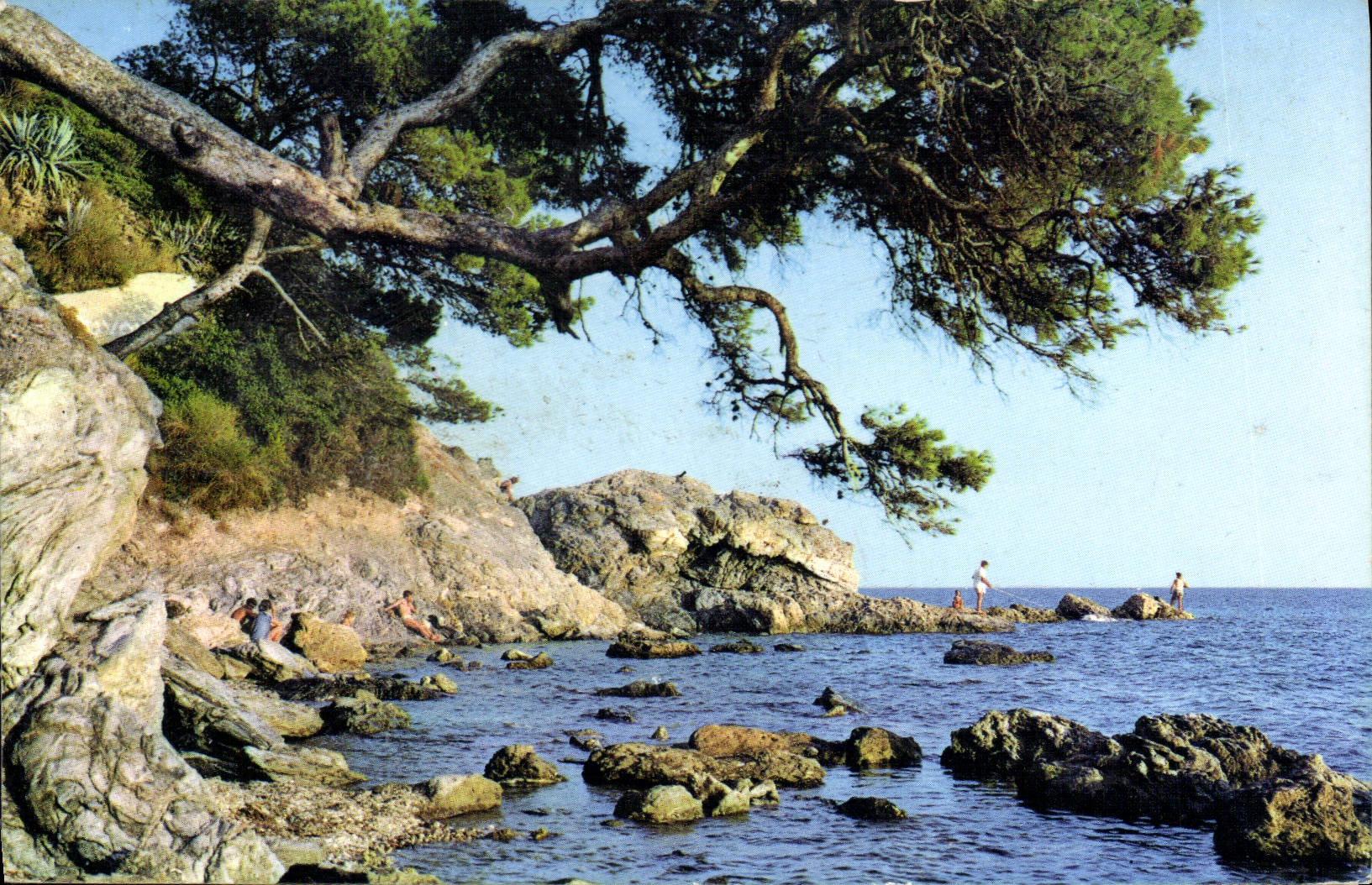 CPM La Cote D'Azur Bord De Mer