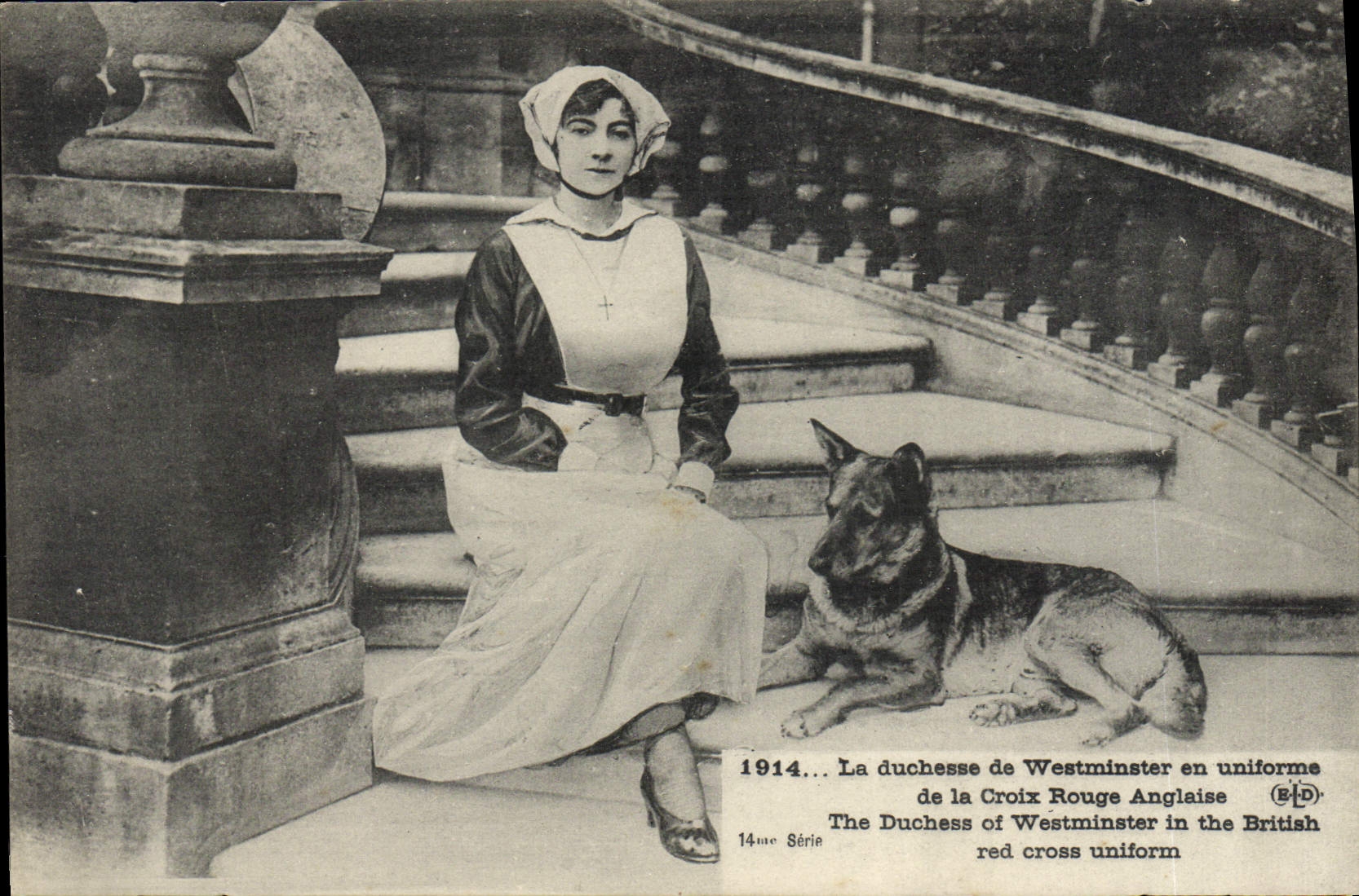 CPA La duchesse de Westminster en uniforme de la Croix Rouge anglaise Chien