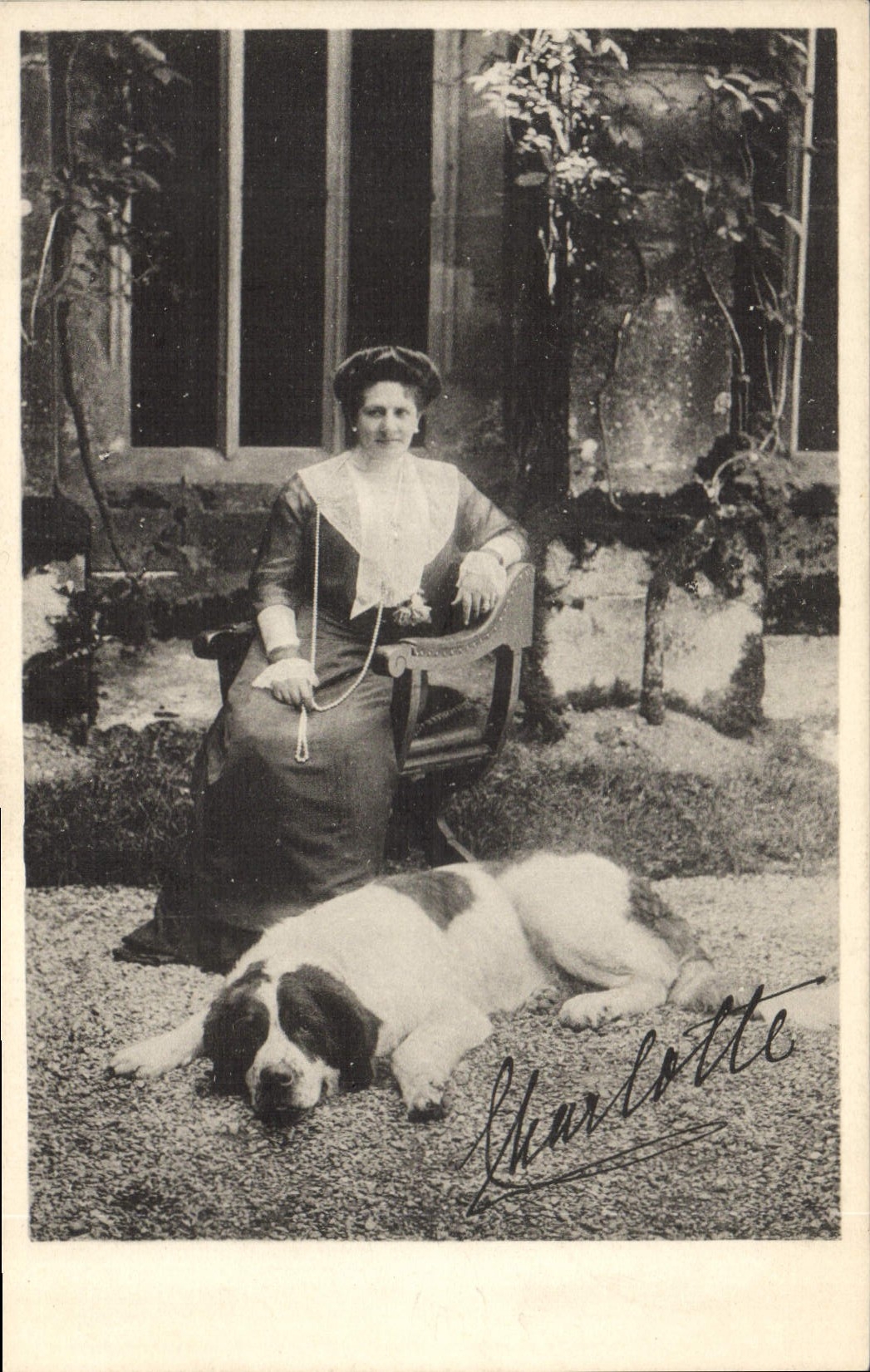 VINTAGE POSTCARD Wurttemberg Landesverein Dog Red Cross