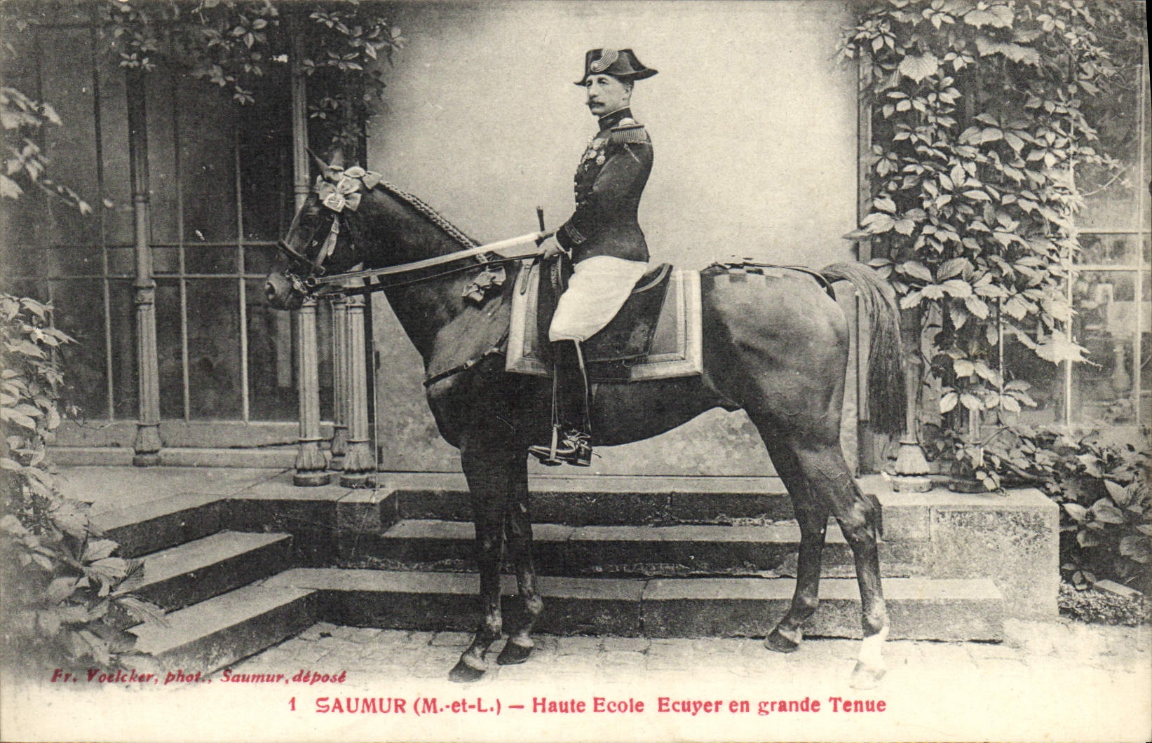 Jinete de la High School secundaria de Hippisme Saumur del caballo de la POSTAL de la VENDIMIA en gran comportamiento