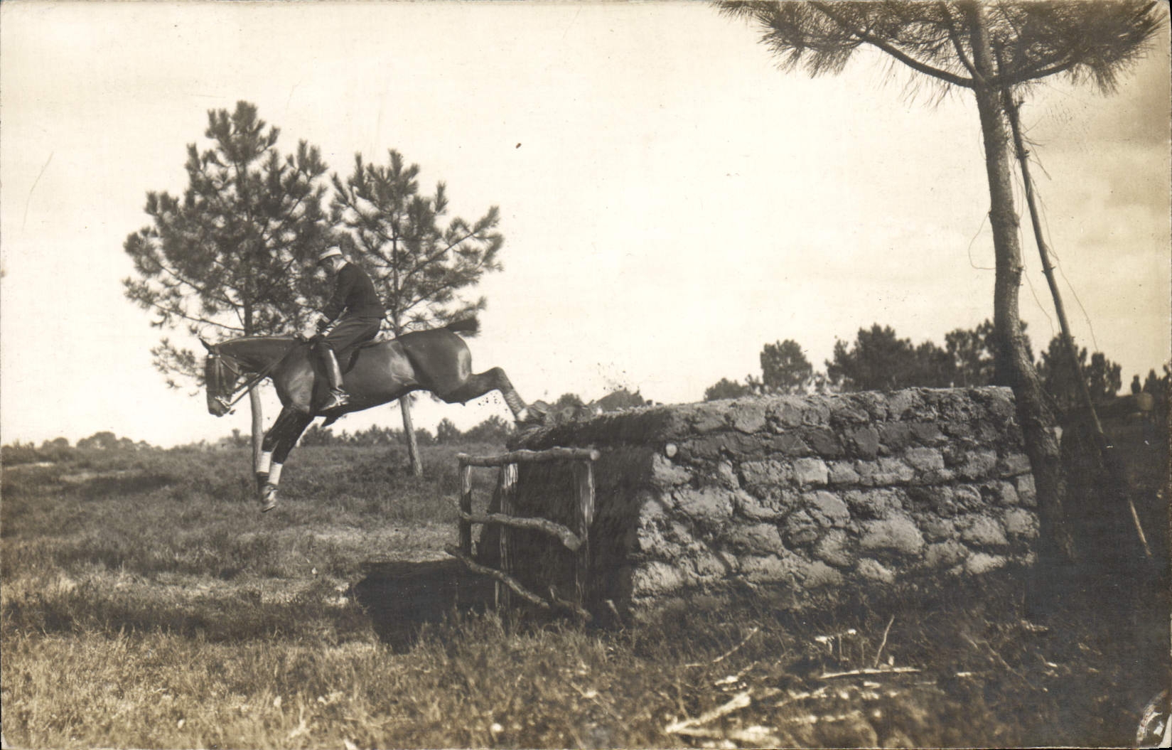 CARTE PHOTO Cheval Hippisme 