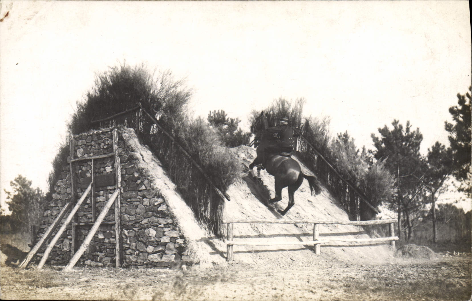 CARTE PHOTO Cheval Hippisme 