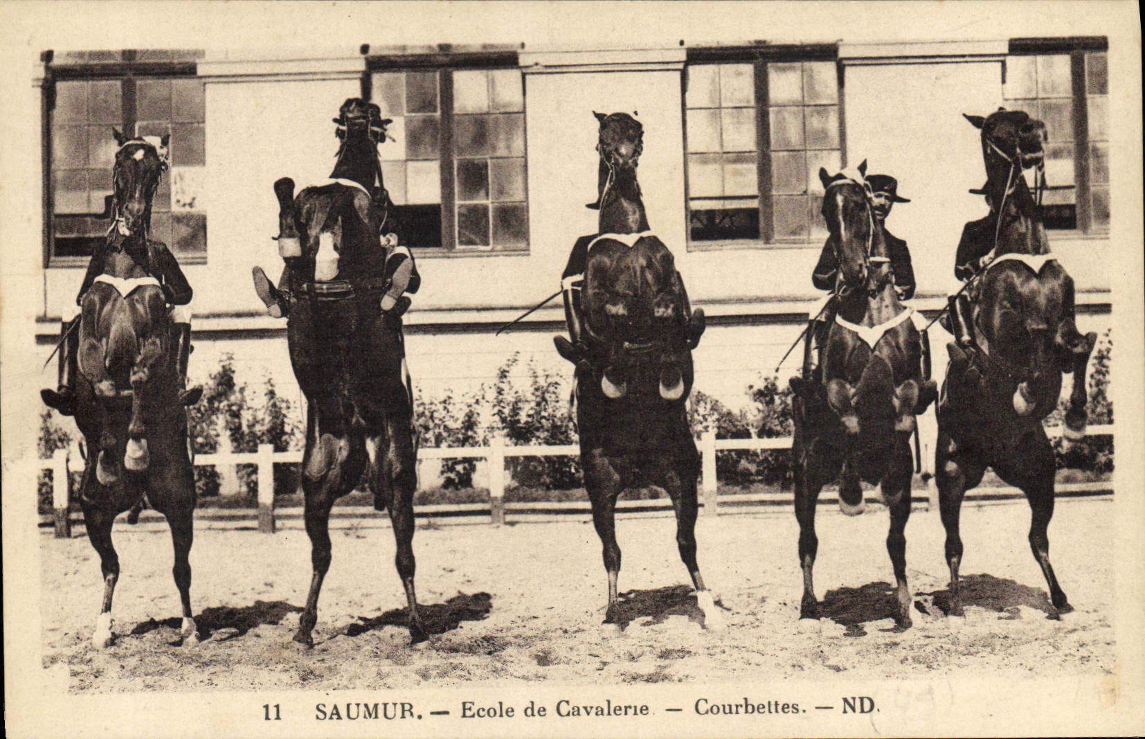 CPA Cheval Hippisme Saumur Ecole de cavalerie Courbettes
