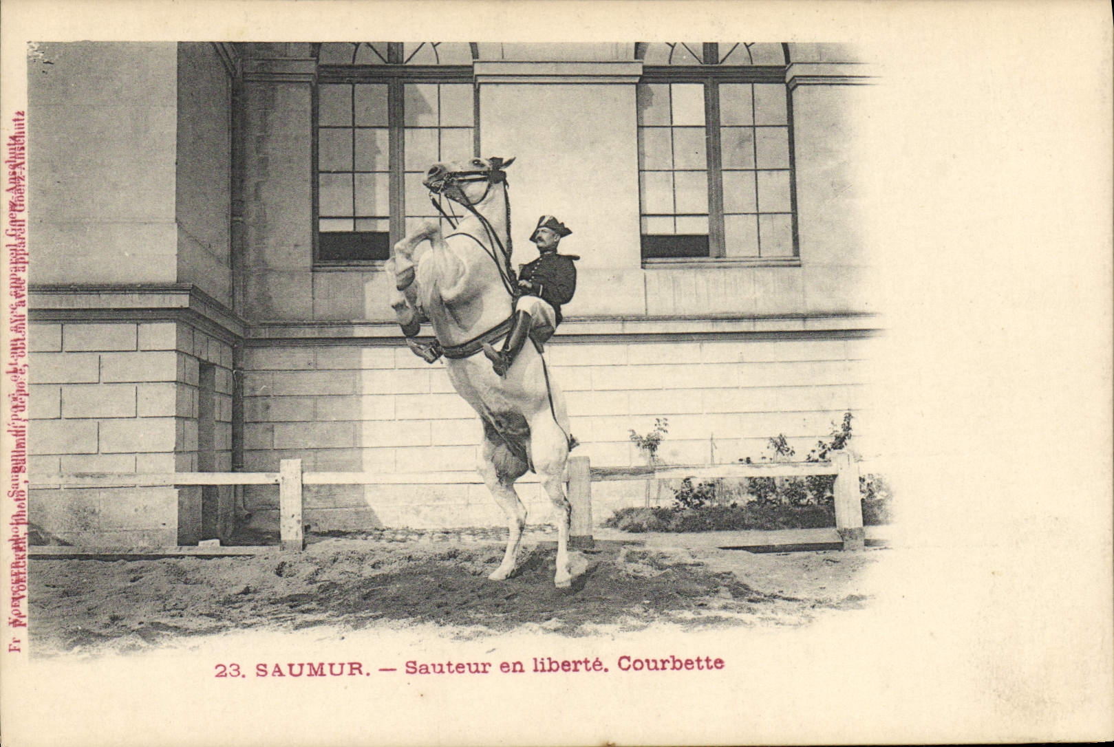 CPA Cheval Hippisme Saumur Sauteur en liberte Courbette