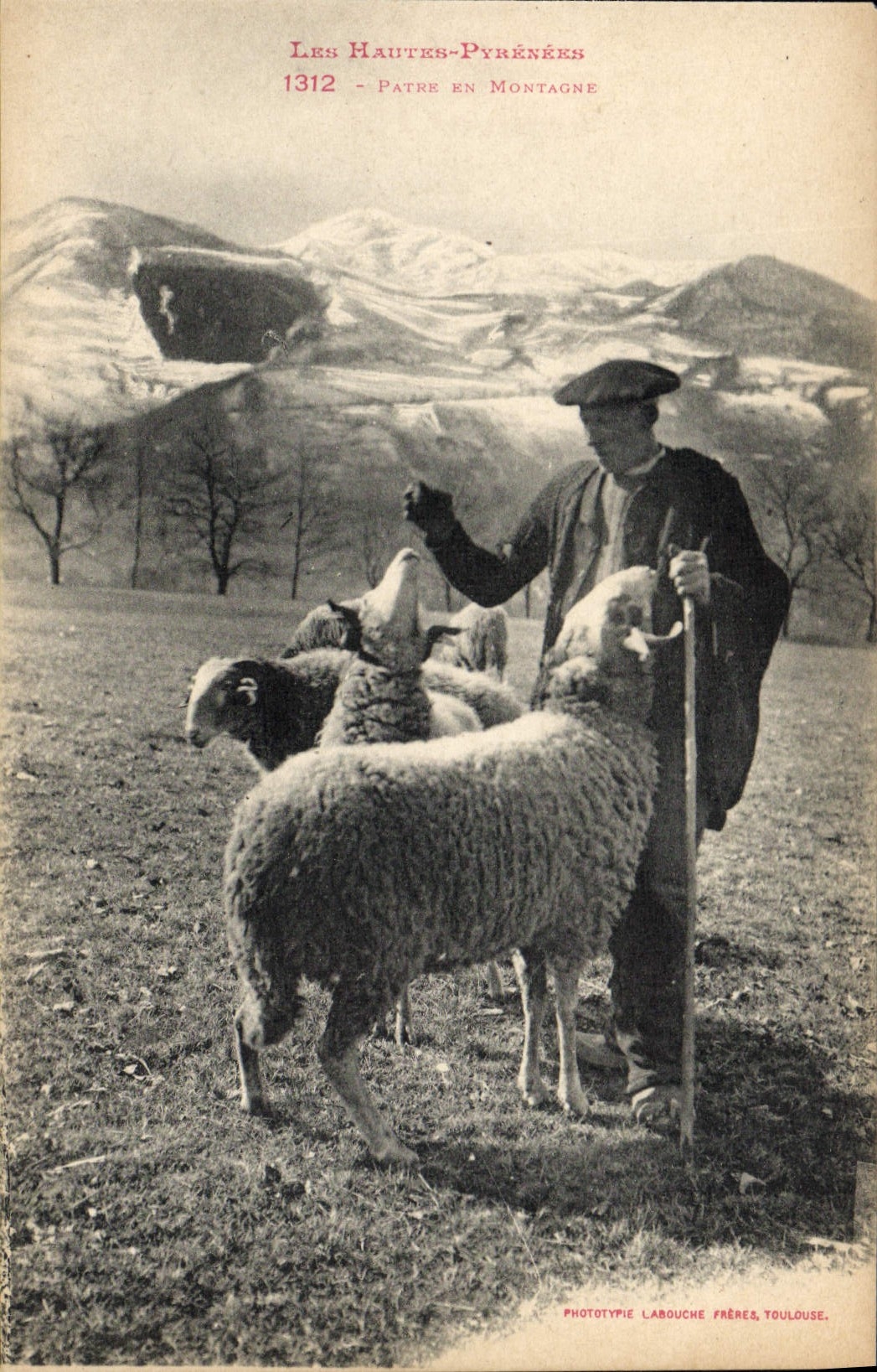 CPA Folklore Hautes Pyrenees Patre en montagne Moutons