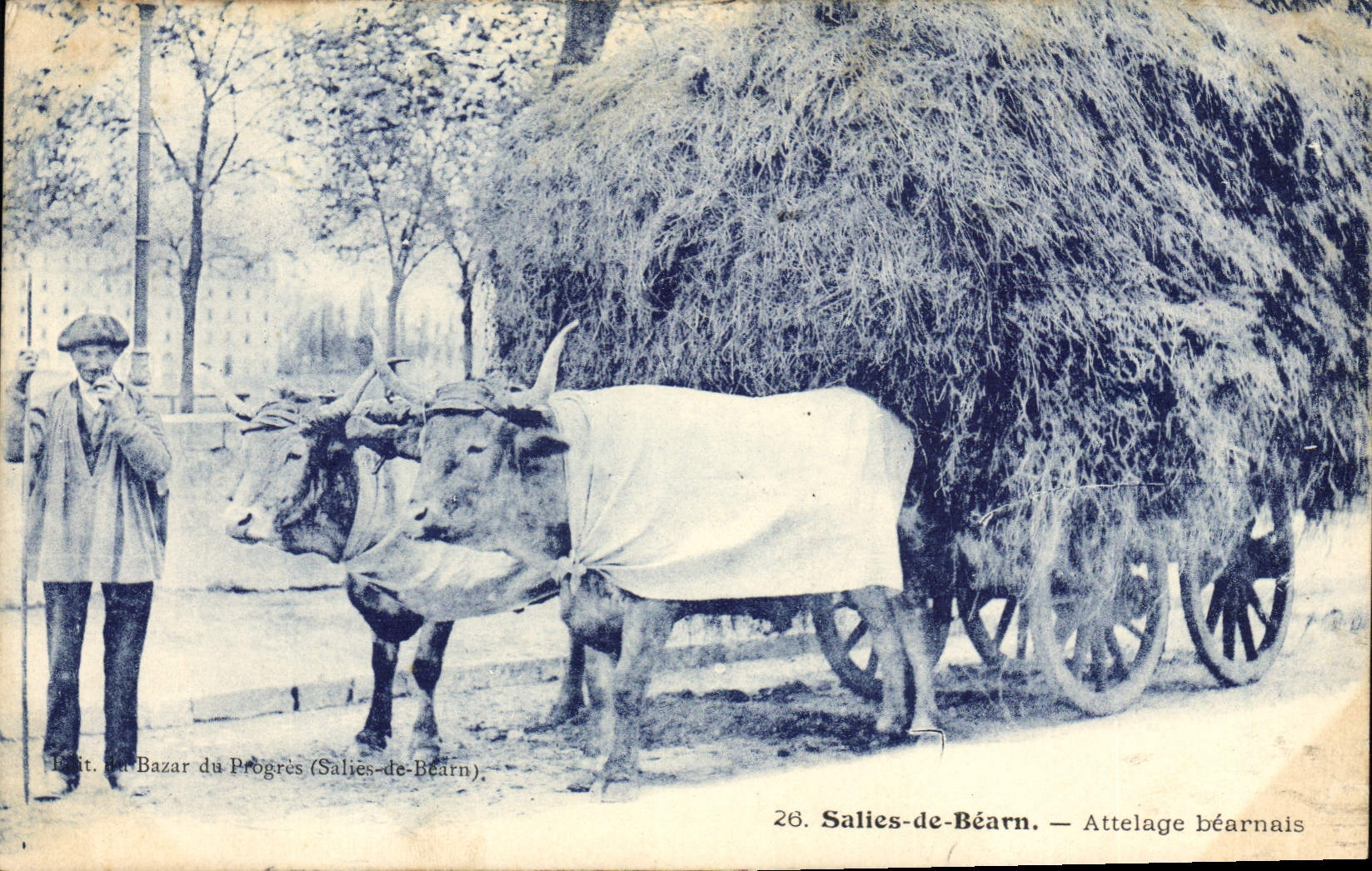 VINTAGE POSTCARD Folklore Dirtied of Bearn Coach inhabitant of Béarn Oxen
