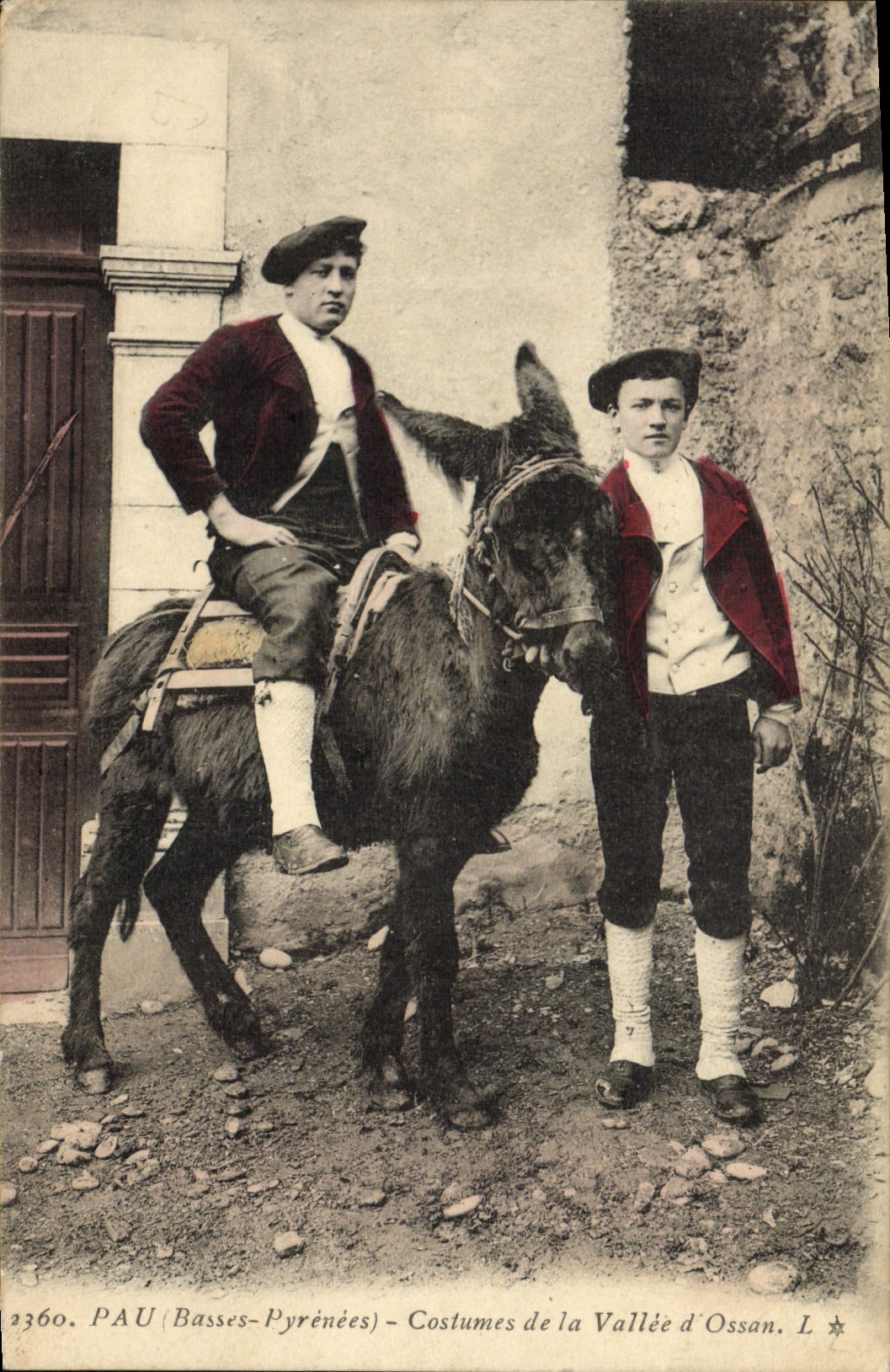 CPA Folklore Pau Costumes de la Vallee d'ossau Ane Mule