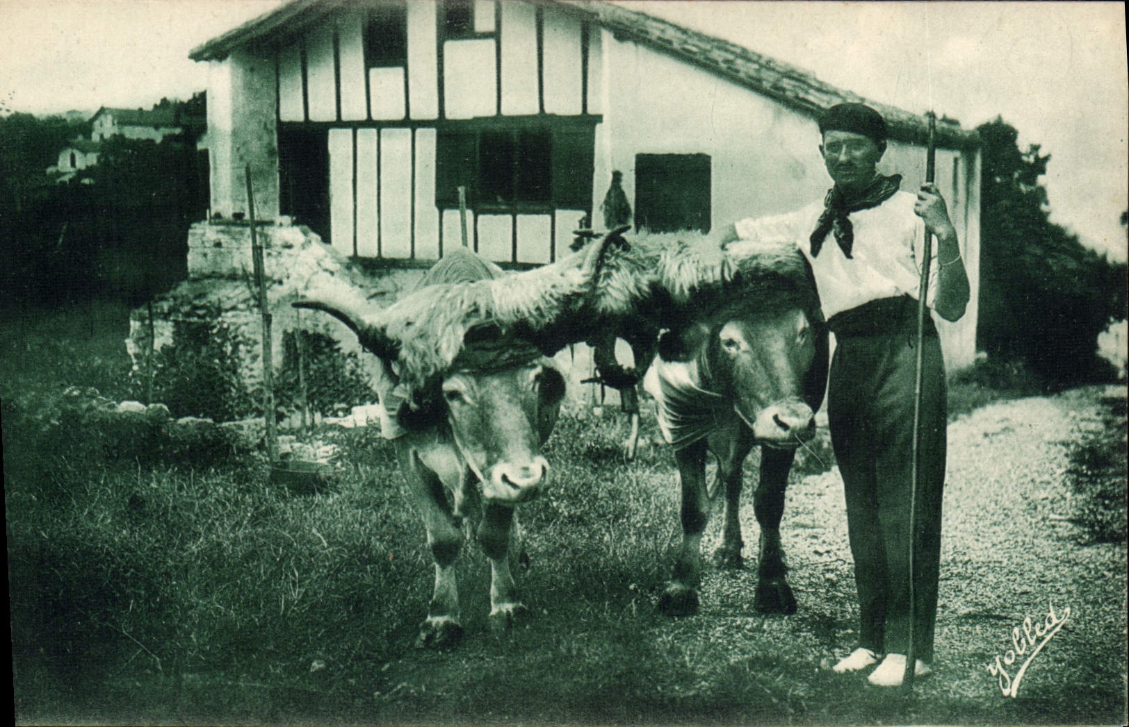 VINTAGE POSTCARD Folklore Guethary Basque Country the oxen caps