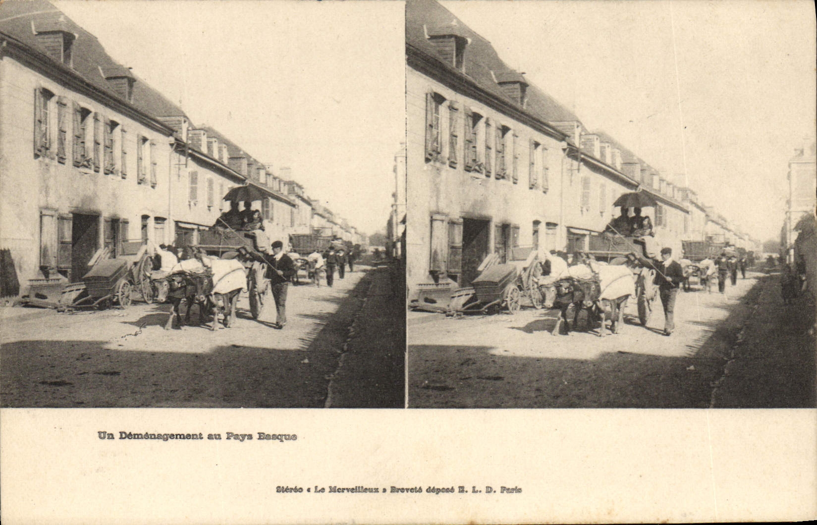 CPA Folklore Un demenagement au pays basque Boeufs