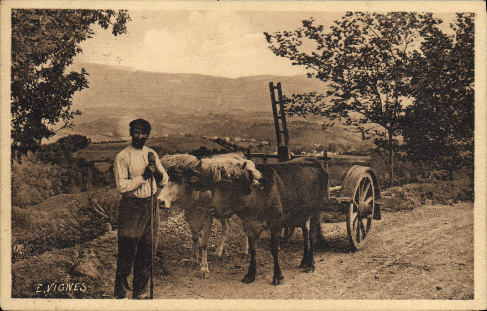 CPA Folklore Attelage basque 