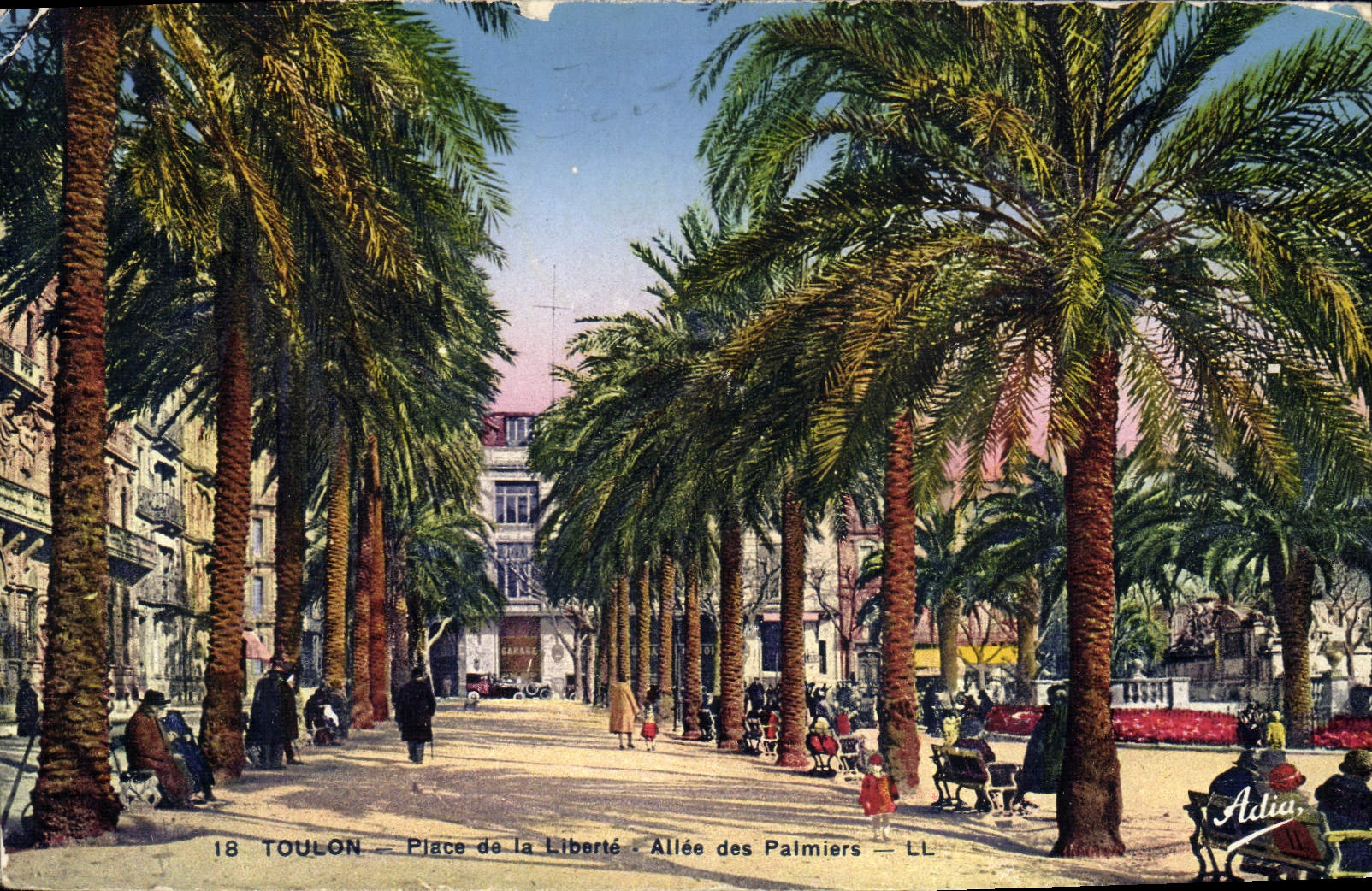 VINTAGE POSTCARD Toulon Places Gone Freedom Of the Palm trees