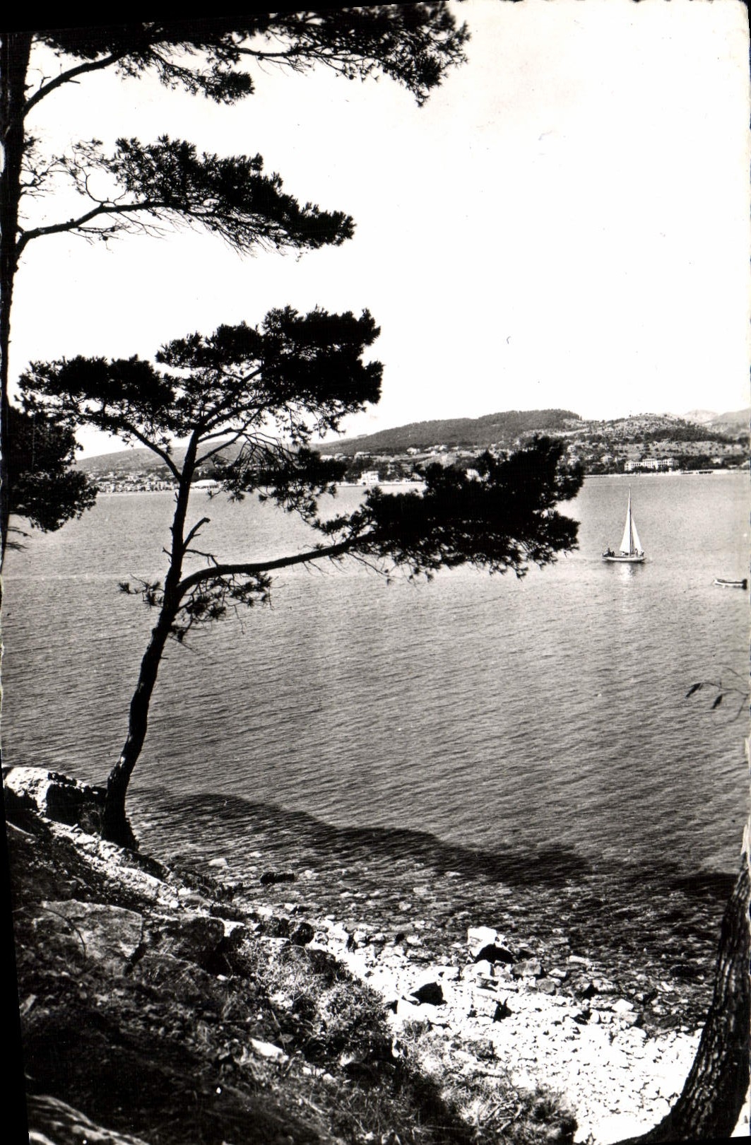 MODERN CARD Bandol Panorama
