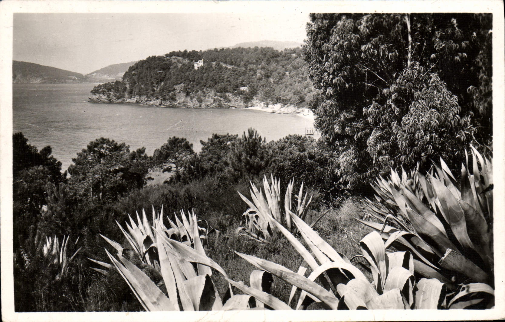 CPM Environs Du Lavandou Le Rayol