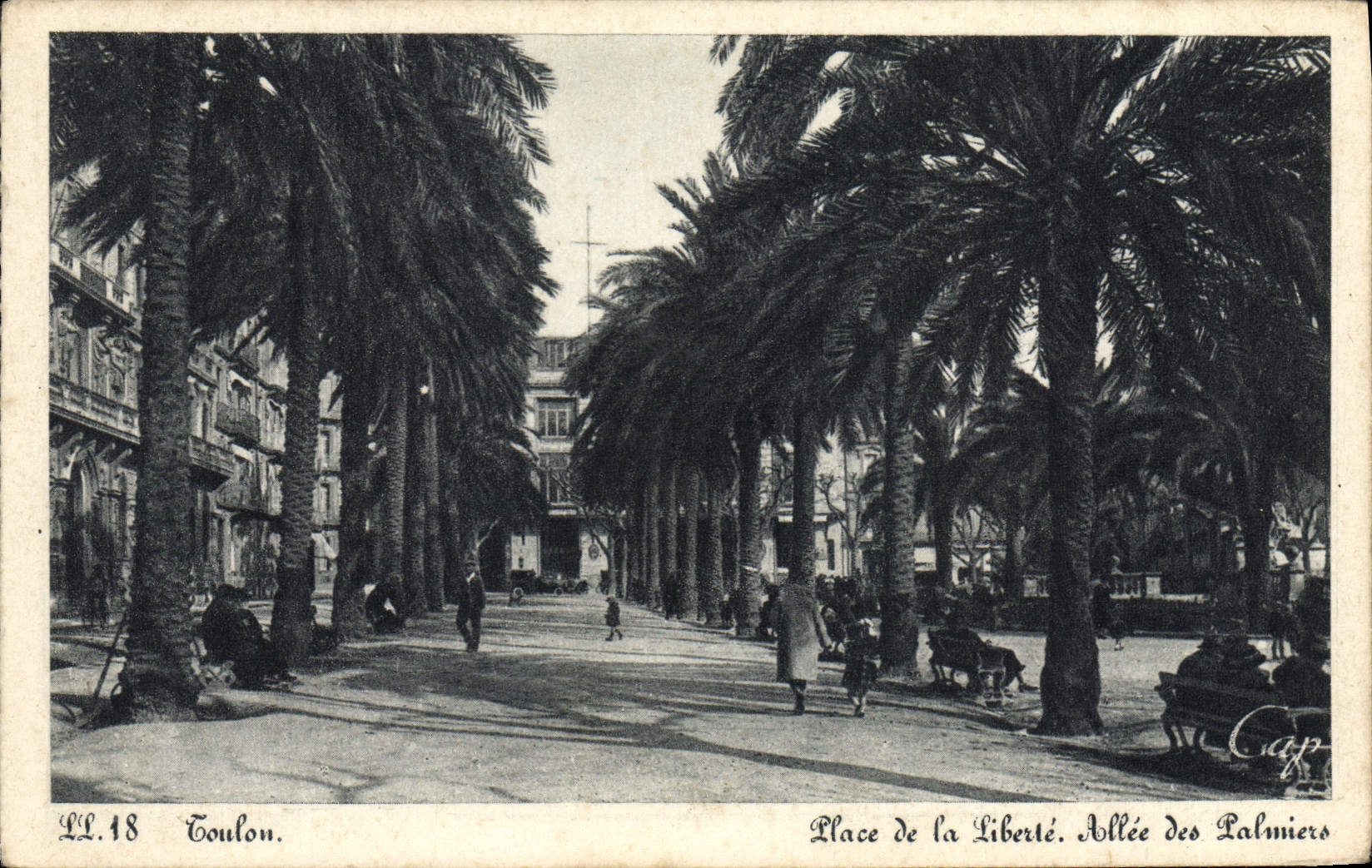CPA Toulon Place De La Liberte Allee des palmiers