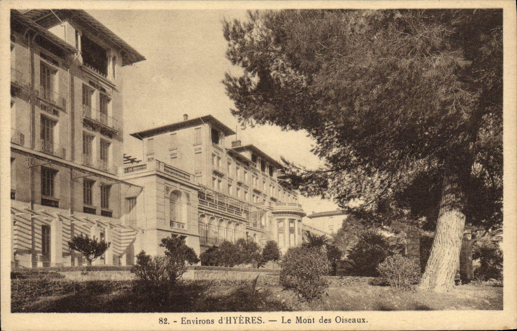CPA Environs d'Hyeres Le Mont des Oiseaux 
