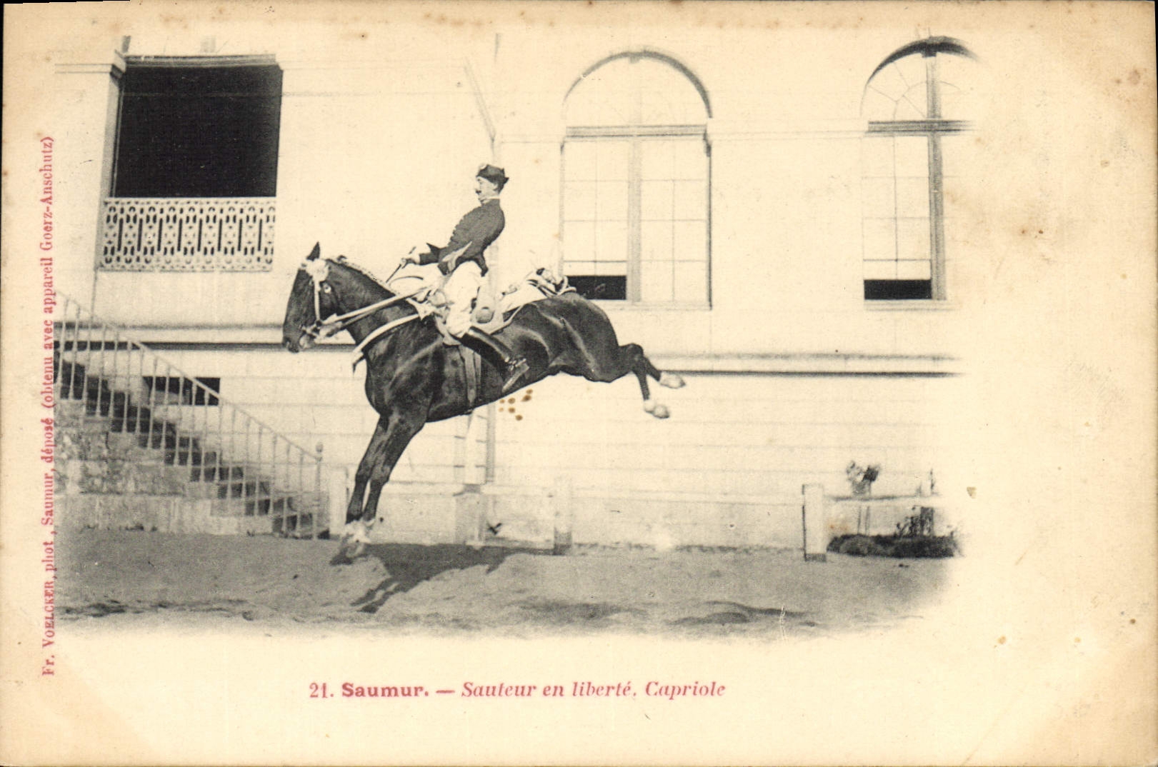 CPA Cheval Hippisme Saumur Sauteur en liberte Capriole