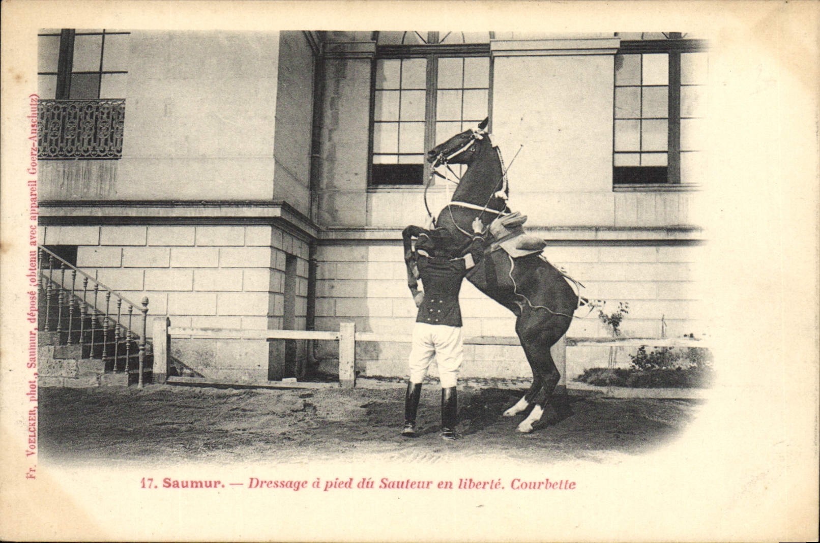 VINTAGE POSTCARD Cheval Hippisme Saumur Dressage has foot of the jumper in Courbette freedom