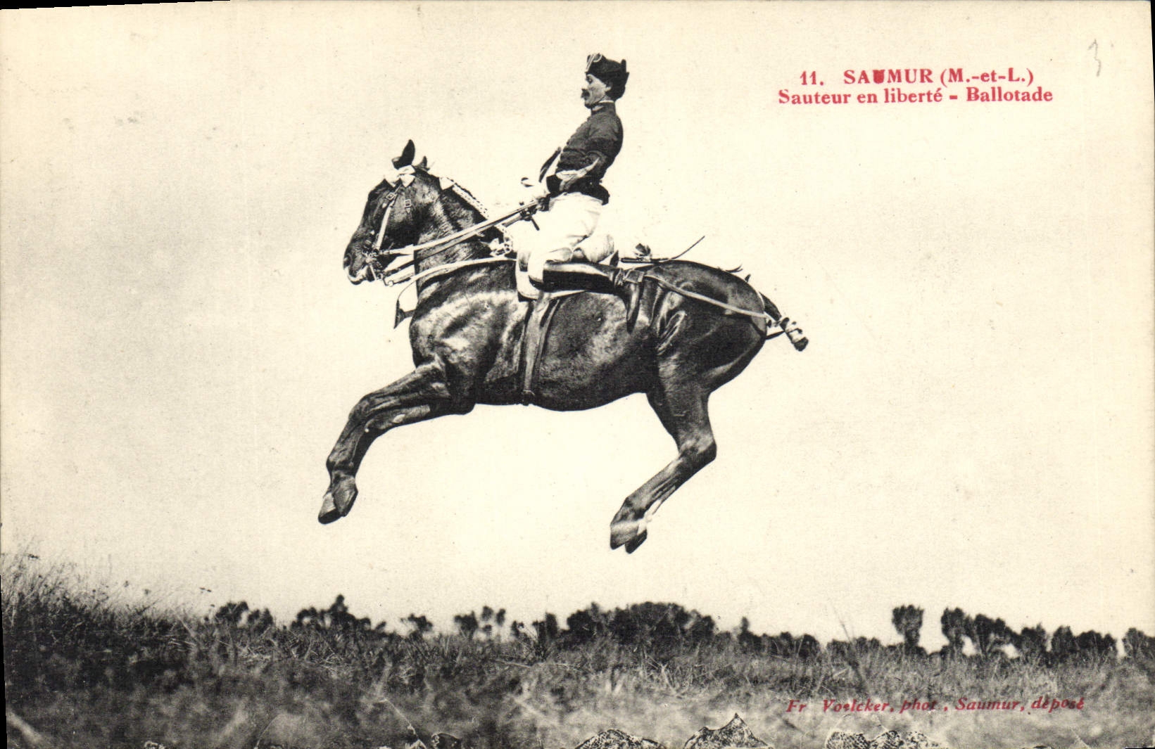 CPA Cheval Hippisme Saumur Sauteur en liberte Ballotade 