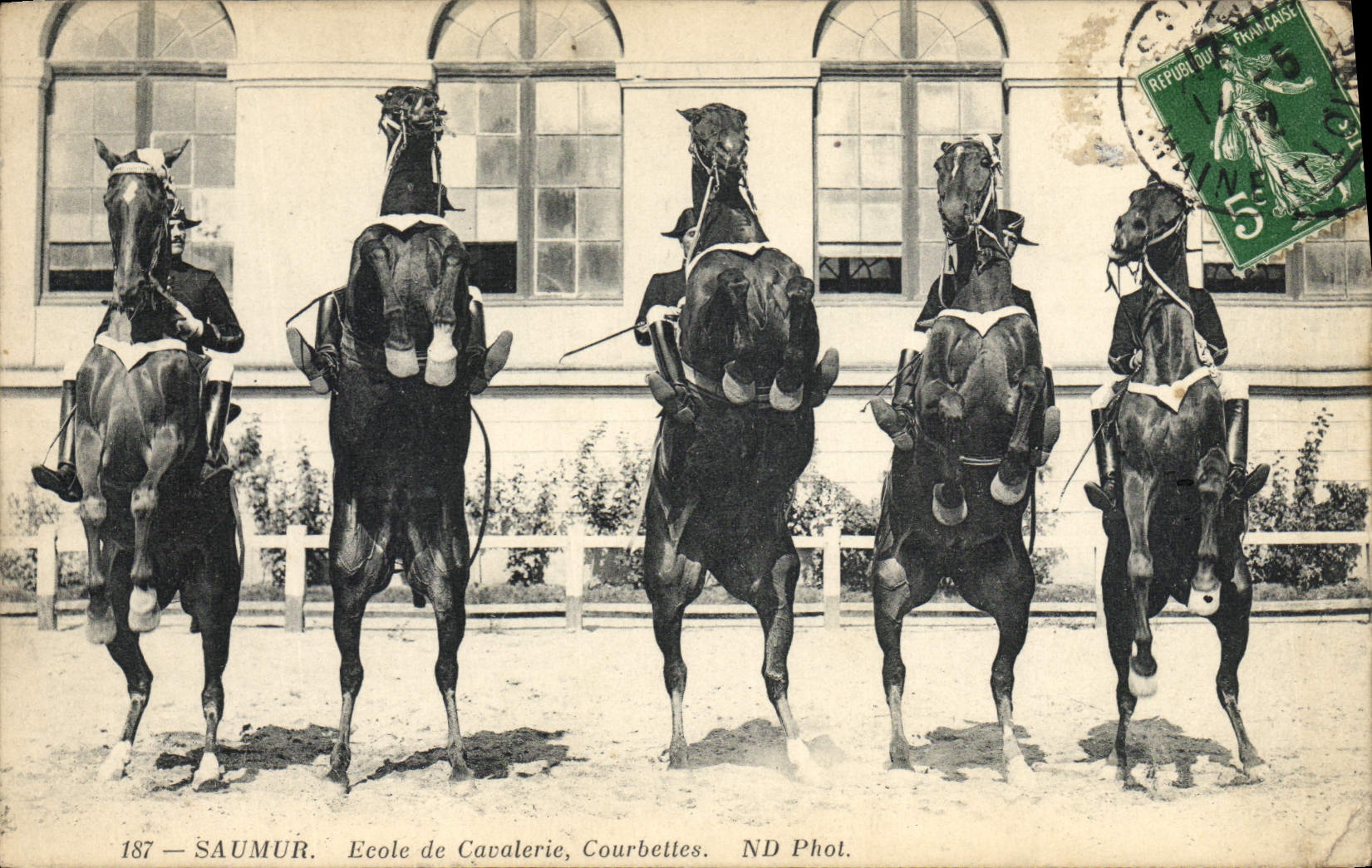 CPA Cheval Hippisme Saumur Ecole de cavalerie Courbettes