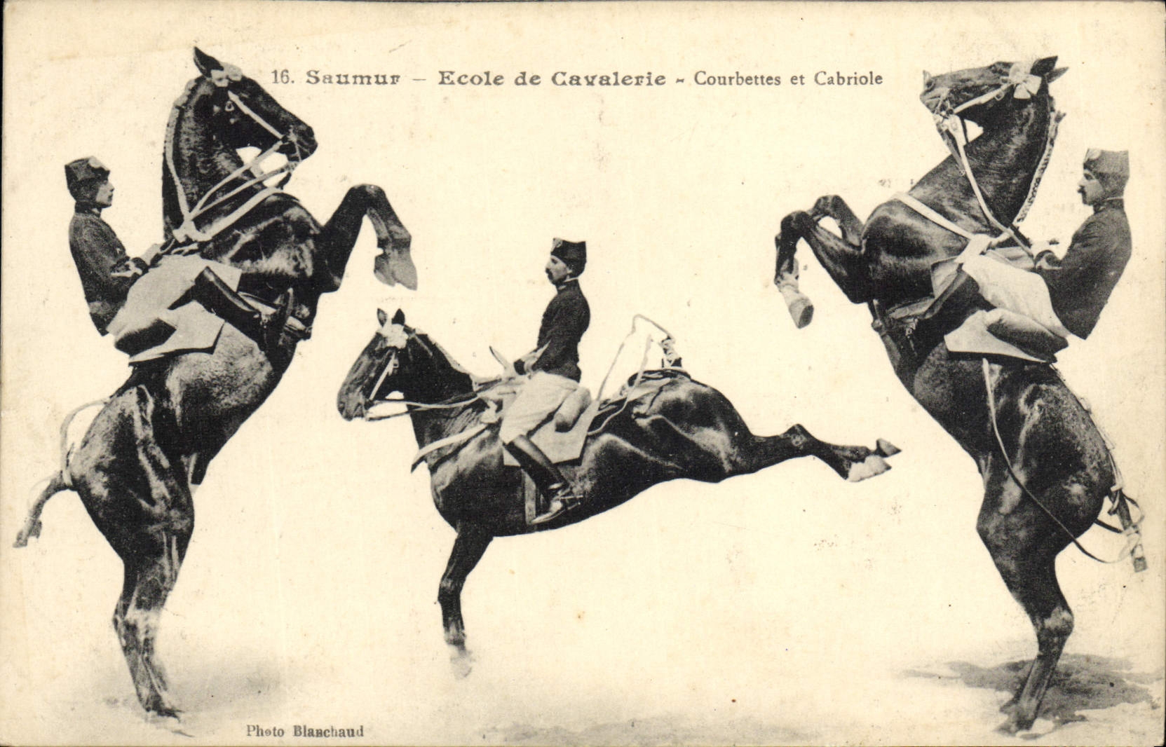 VINTAGE POSTCARD Horse Hippisme Saumur School of Courbettes cavalry and caper