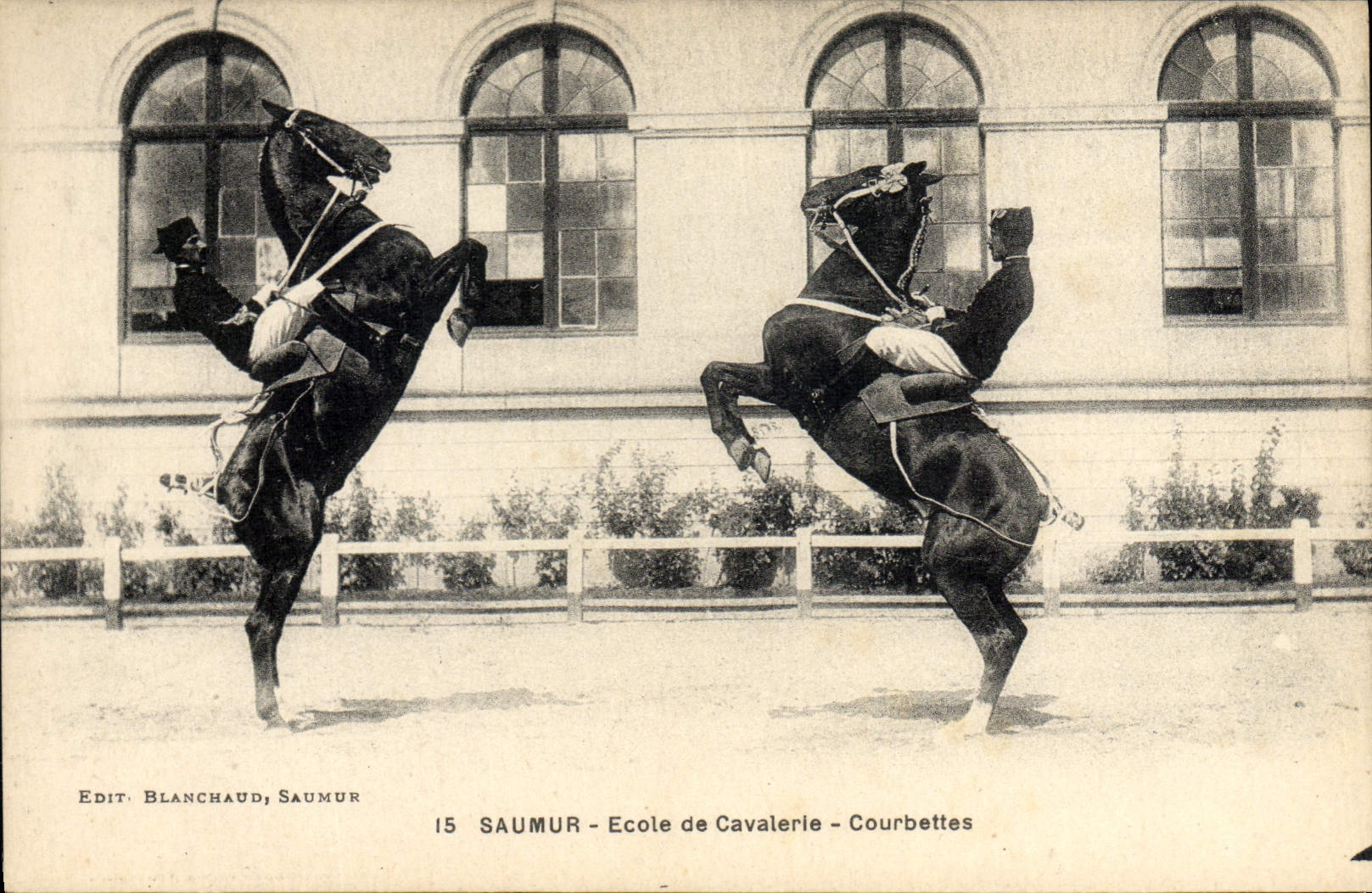 CPA Cheval Hippisme Saumur Ecole de cavalerie Courbettes