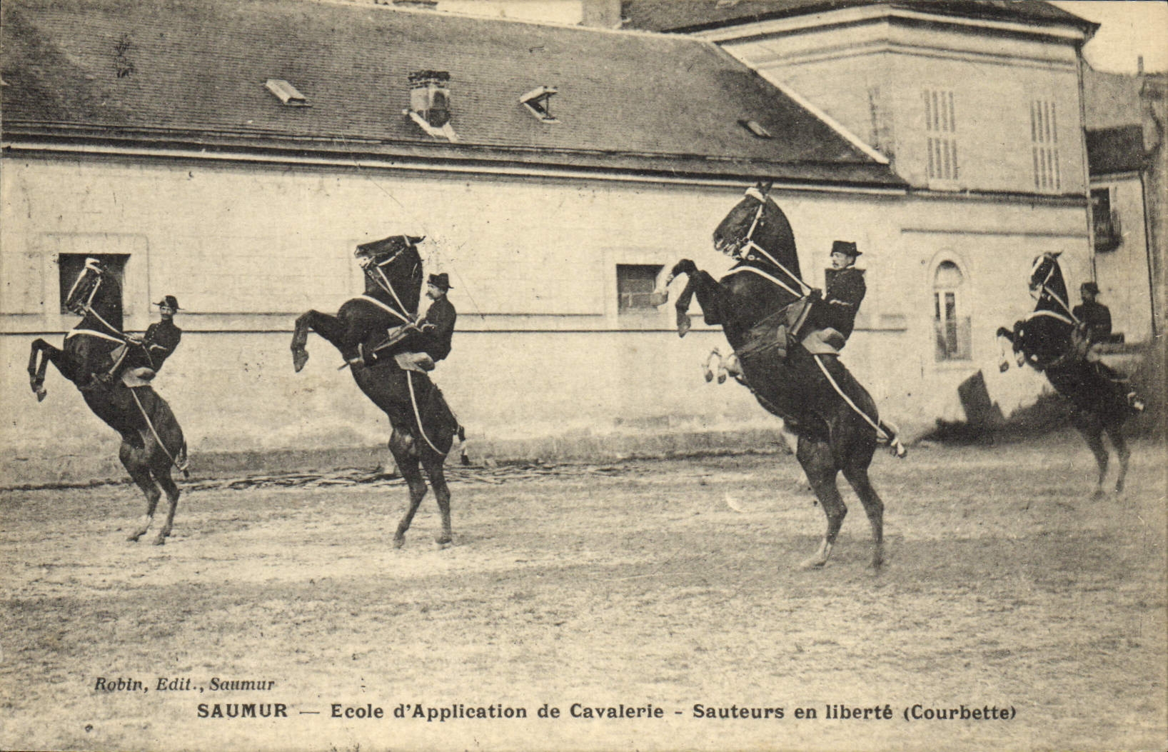 VINTAGE POSTCARD Horse Hippisme Saumur School of application of cavalry Jumpers in freedom (courbette)