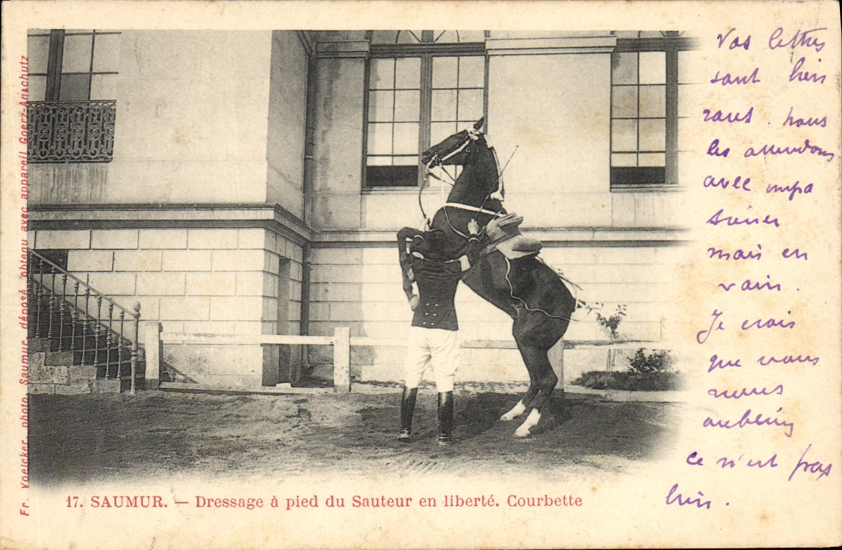 CPA Cheval Hippisme Saumur Dressage a pied du sauteur en liberte Courbette