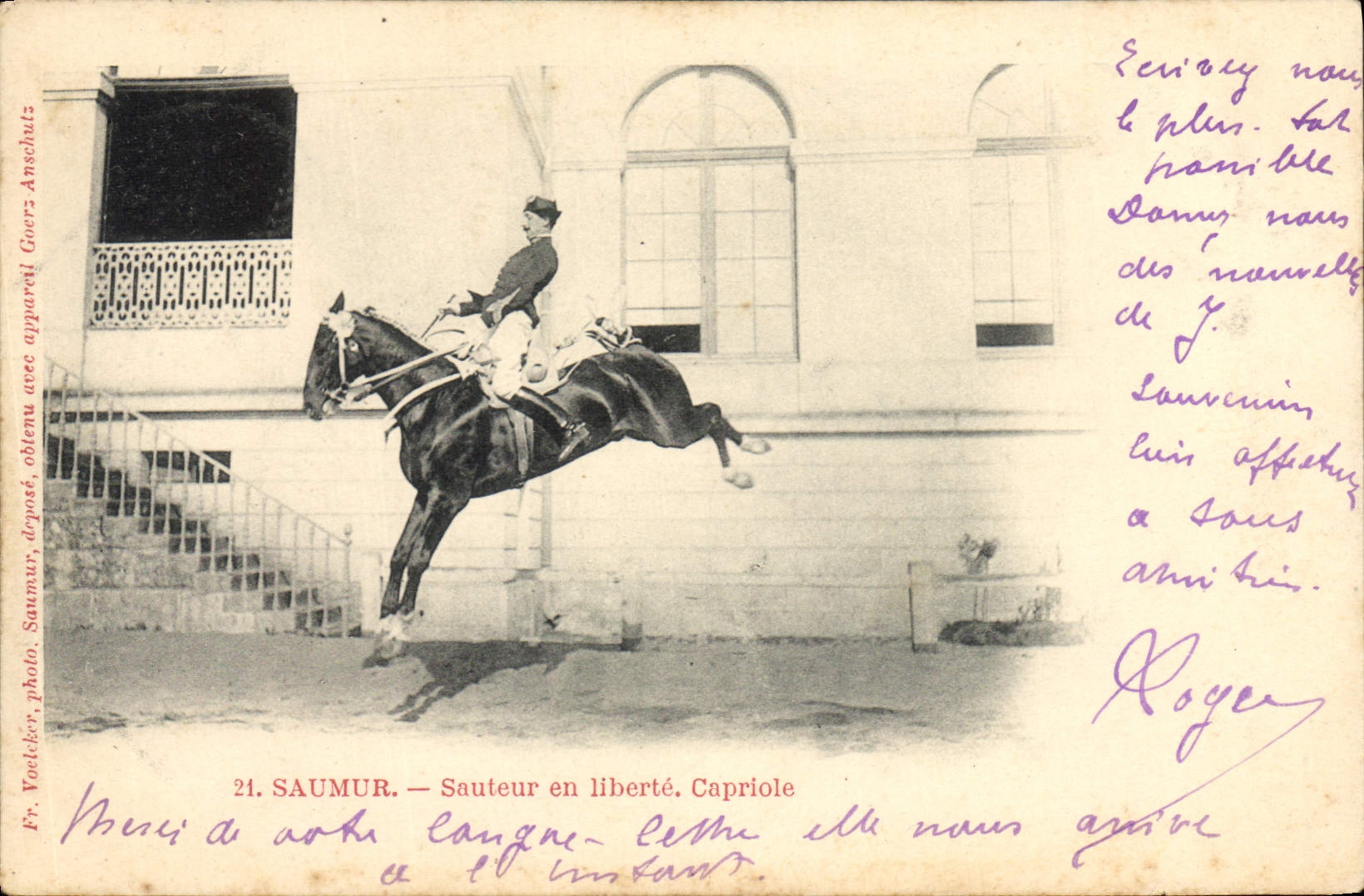 CPA Cheval Hippisme Saumur Sauteur en liberte Capriole
