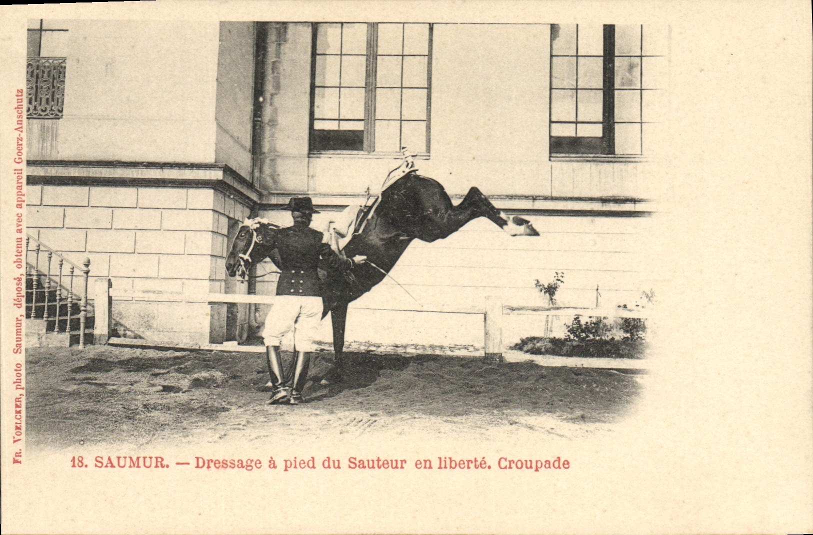 CPA Cheval Hippisme Saumur Dressage a pied du sauteur en liberte Croupade