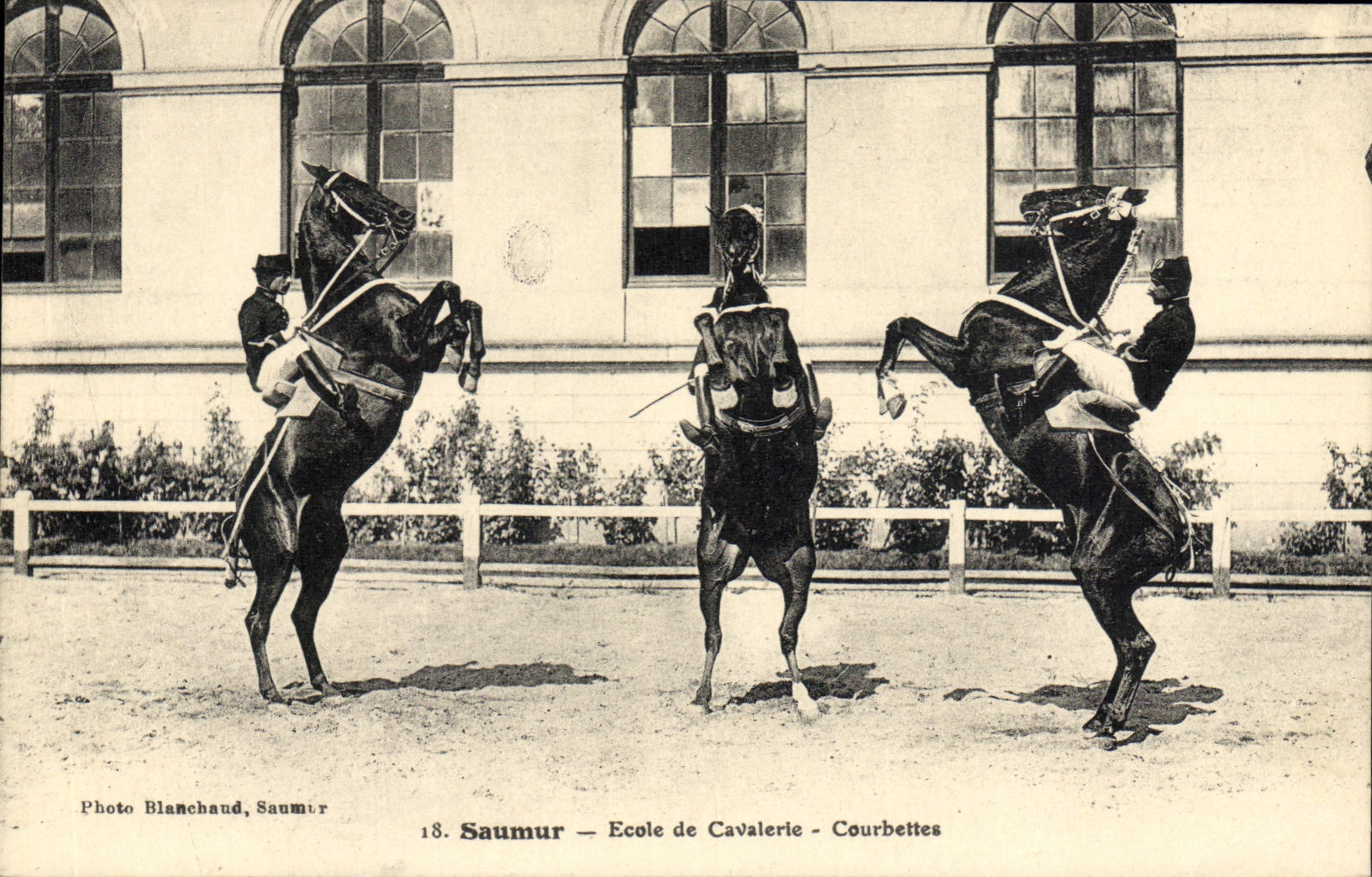 CPA Cheval Hippisme Saumur Ecole de cavalerie Courbettes