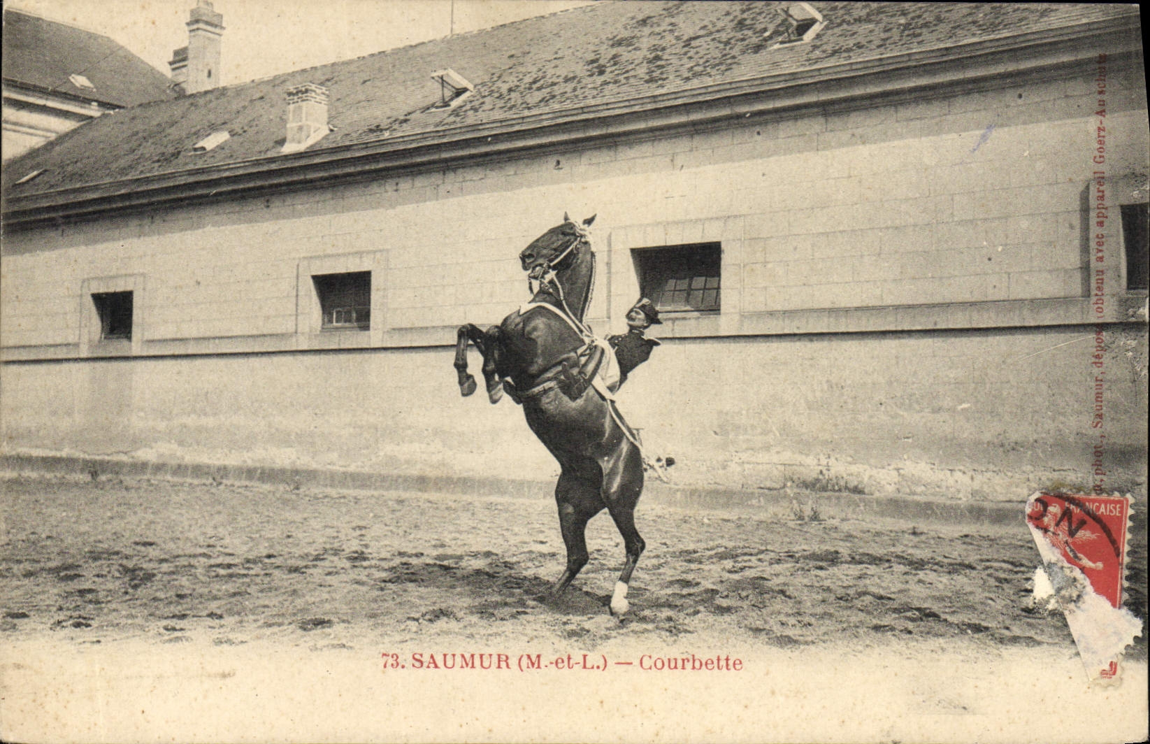 CPA Cheval Hippisme Saumur Courbette