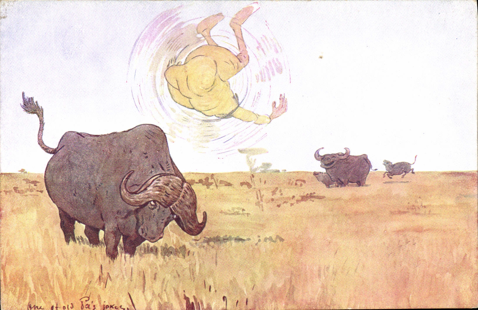 VINTAGE POSTCARD Fantasy Illustrator Africa Oxen