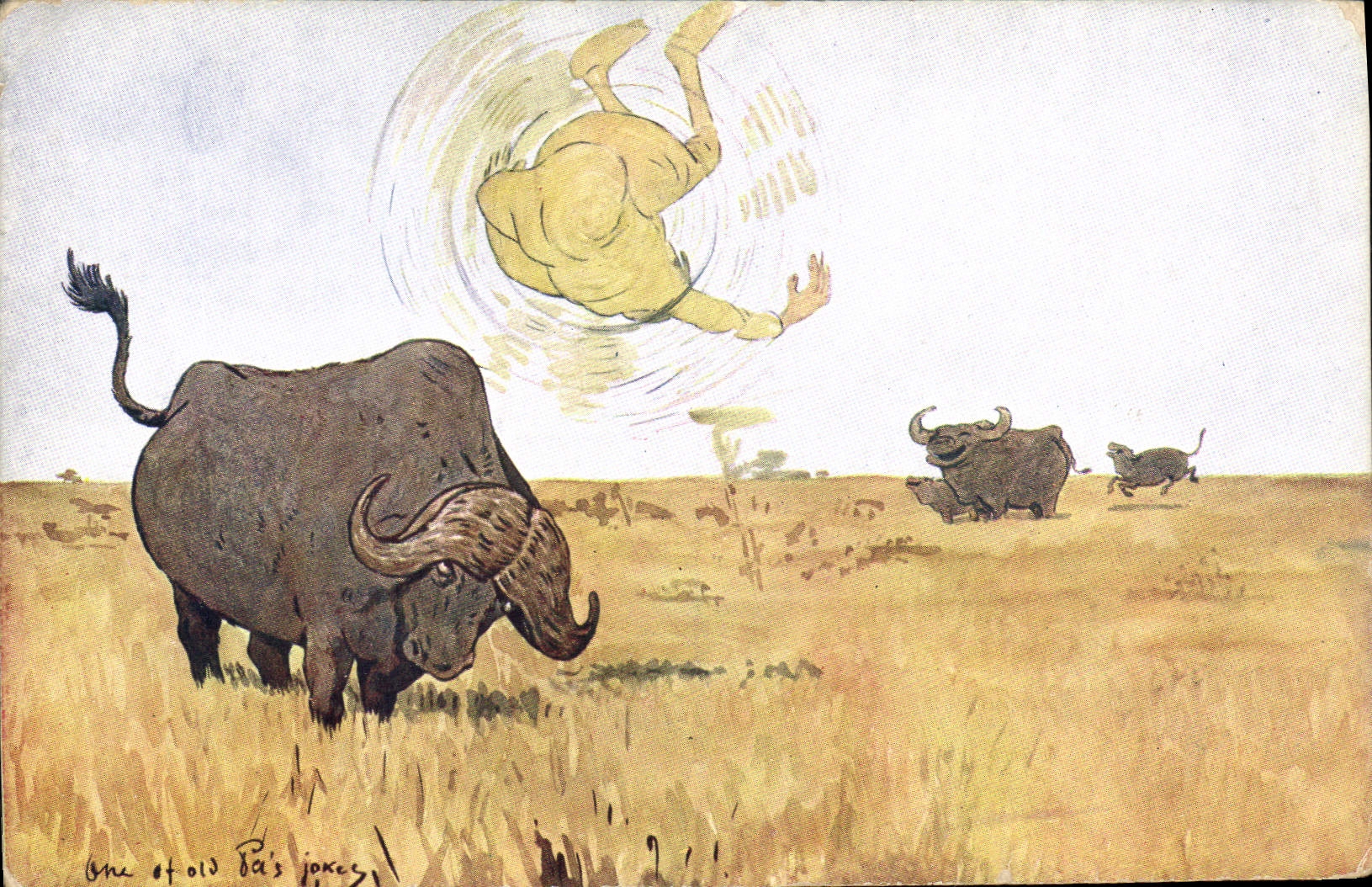 CPA Fantaisie Illustrateur Afrique Boeufs