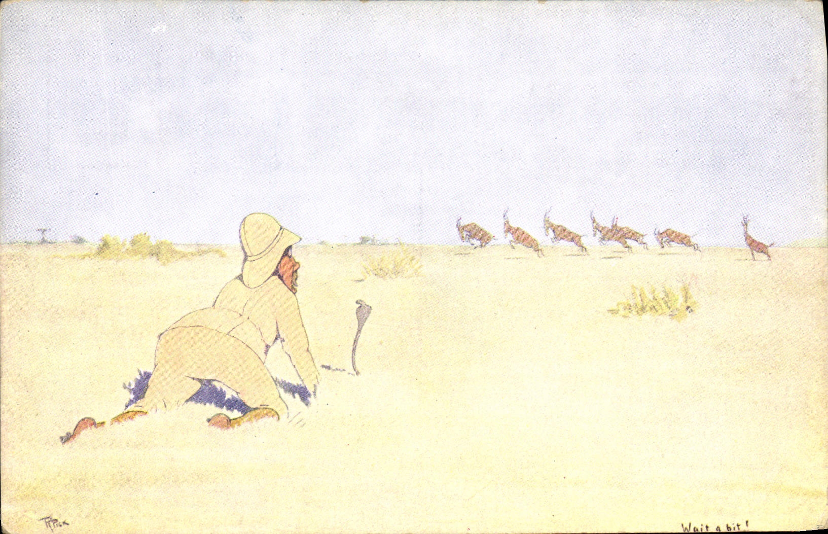 VINTAGE POSTCARD Fantasy Illustrator Africa Antelopes Gazelles Snake