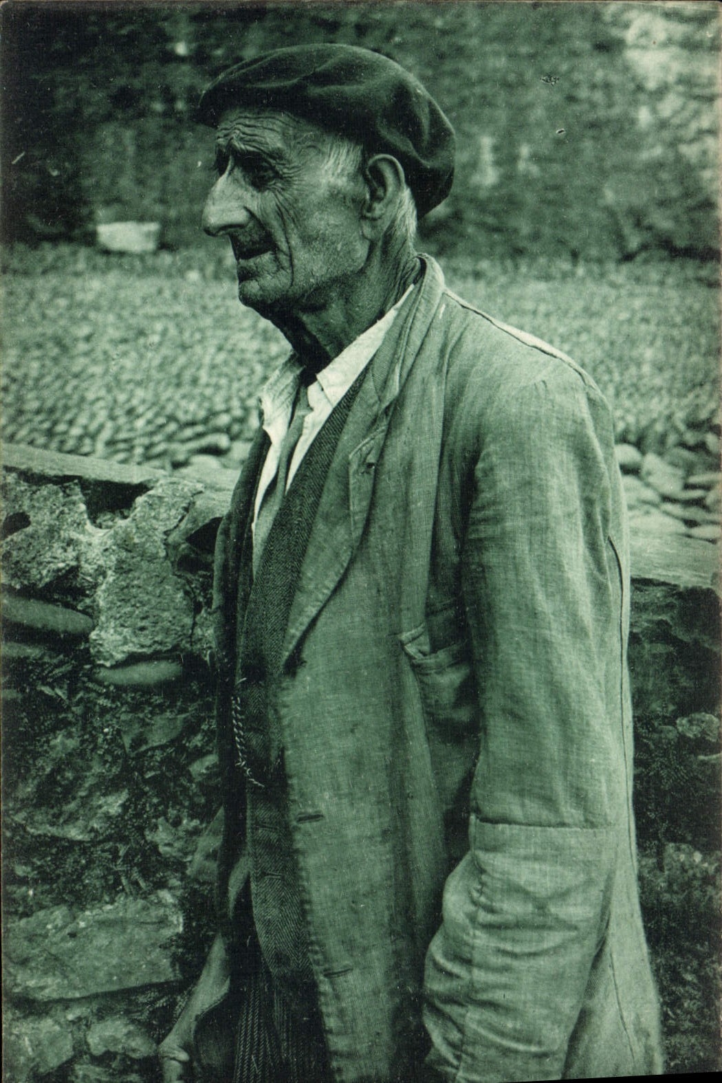 CPA Folklore Pays basque Physionomie de vieux basque