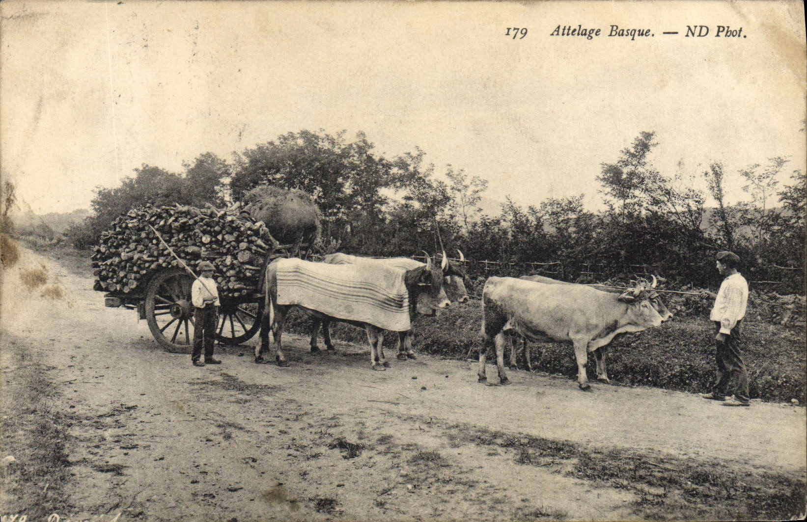 CPA Folklore Attelage basque Boeufs