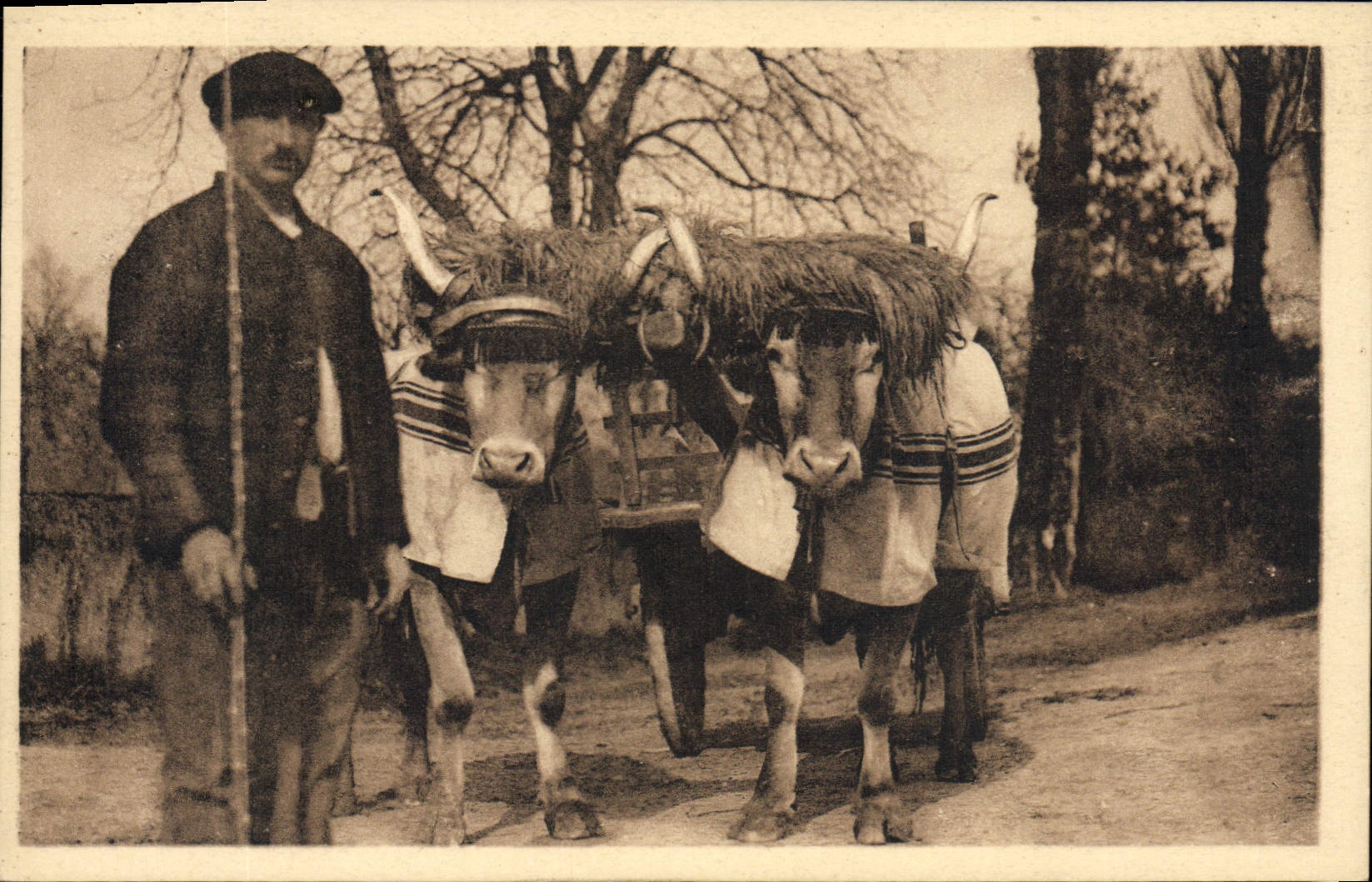 VINTAGE POSTCARD Folklore Basque Standards Basque Coach