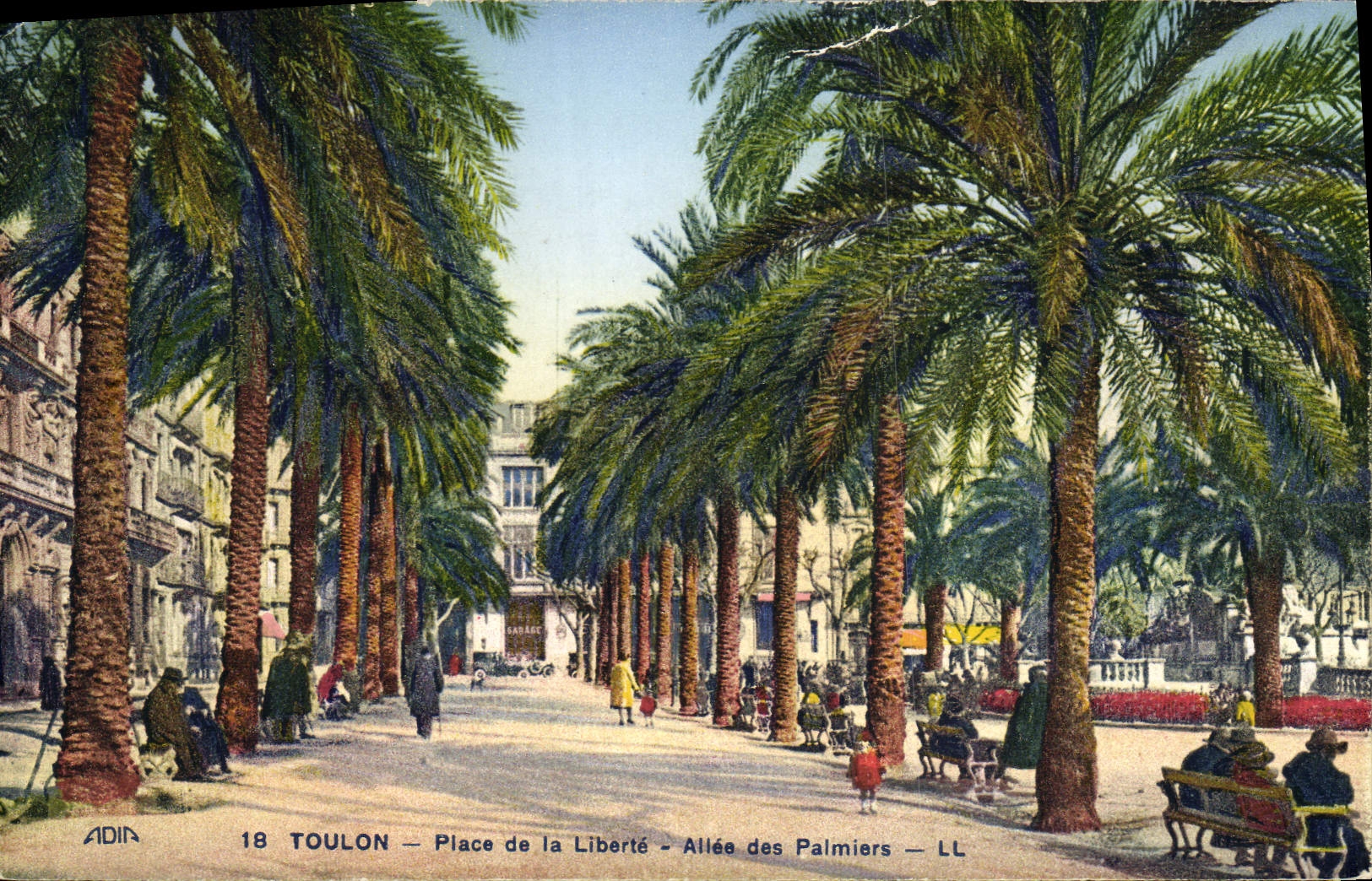 CPA Toulon Place de la Liberte Allee des palmiers