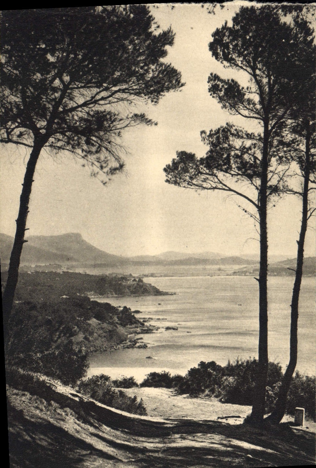 VINTAGE POSTCARD Fabregas the path of customs